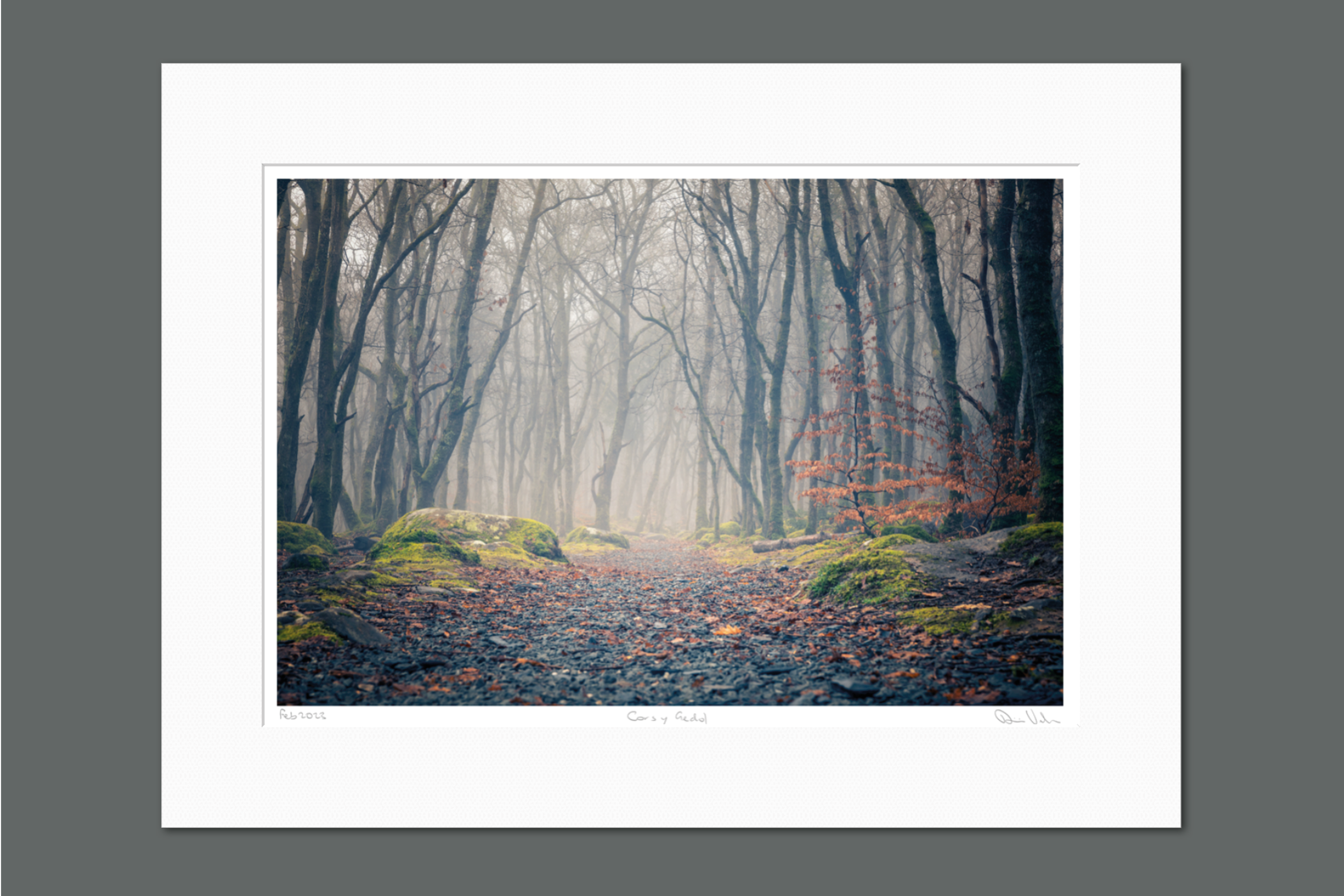 VH23048 Cors y gedol mount on grey.png