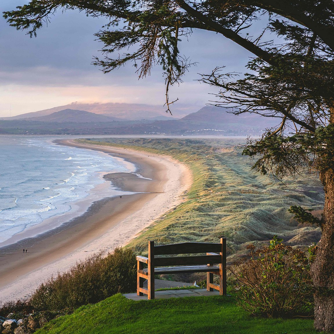 VH25122 Private-View-Final-Square-Web.jpg