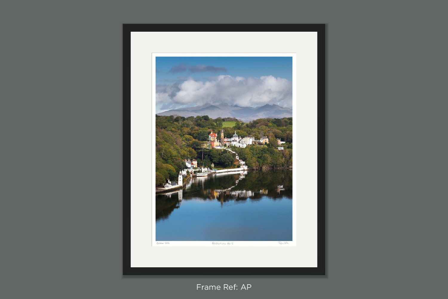 VH26139 AP - Framed.jpg