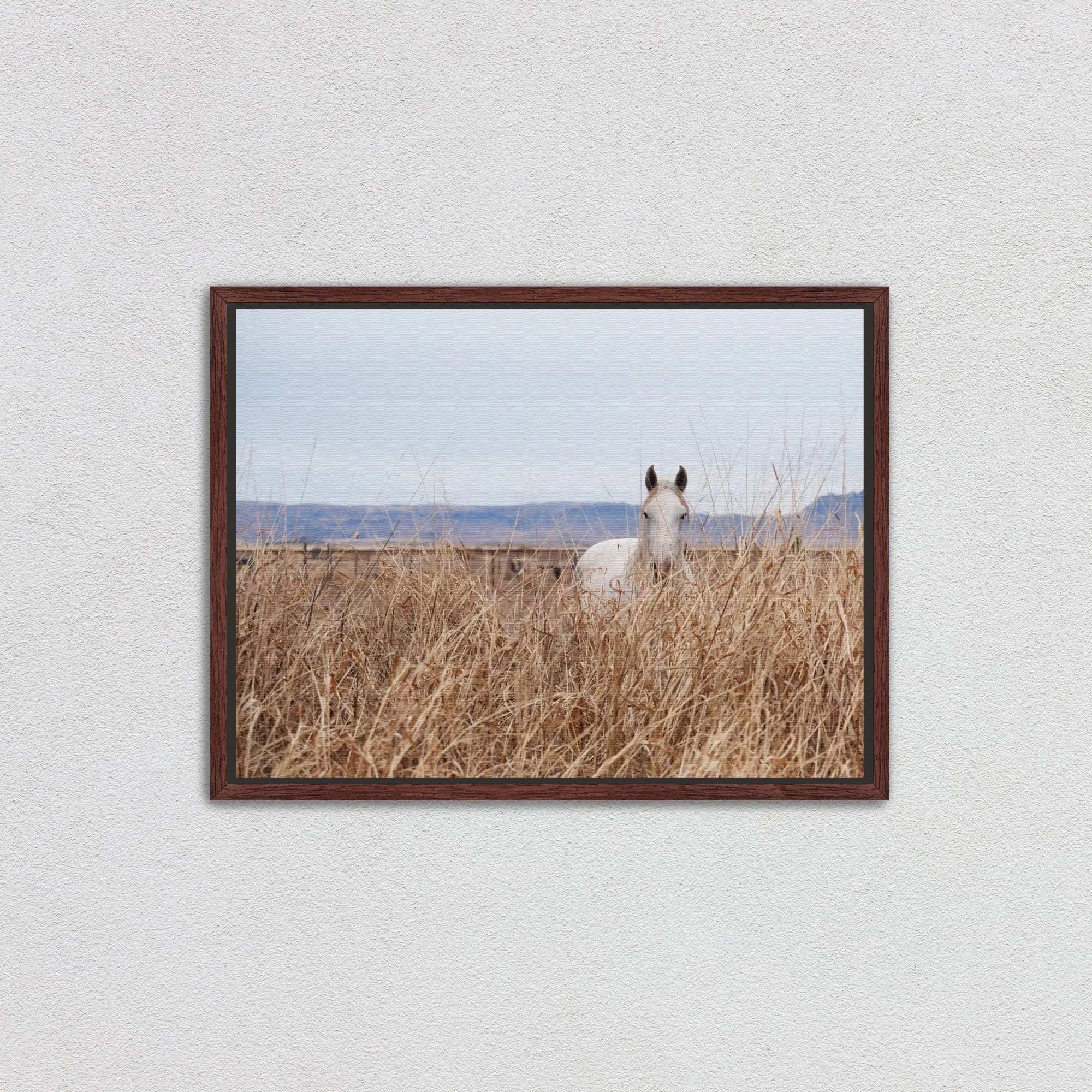 espressocanvas.jpg (Copy)