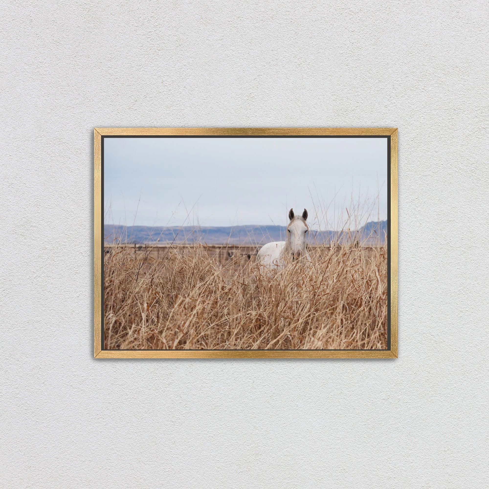 Goldframedcanvas.jpg (Copy)