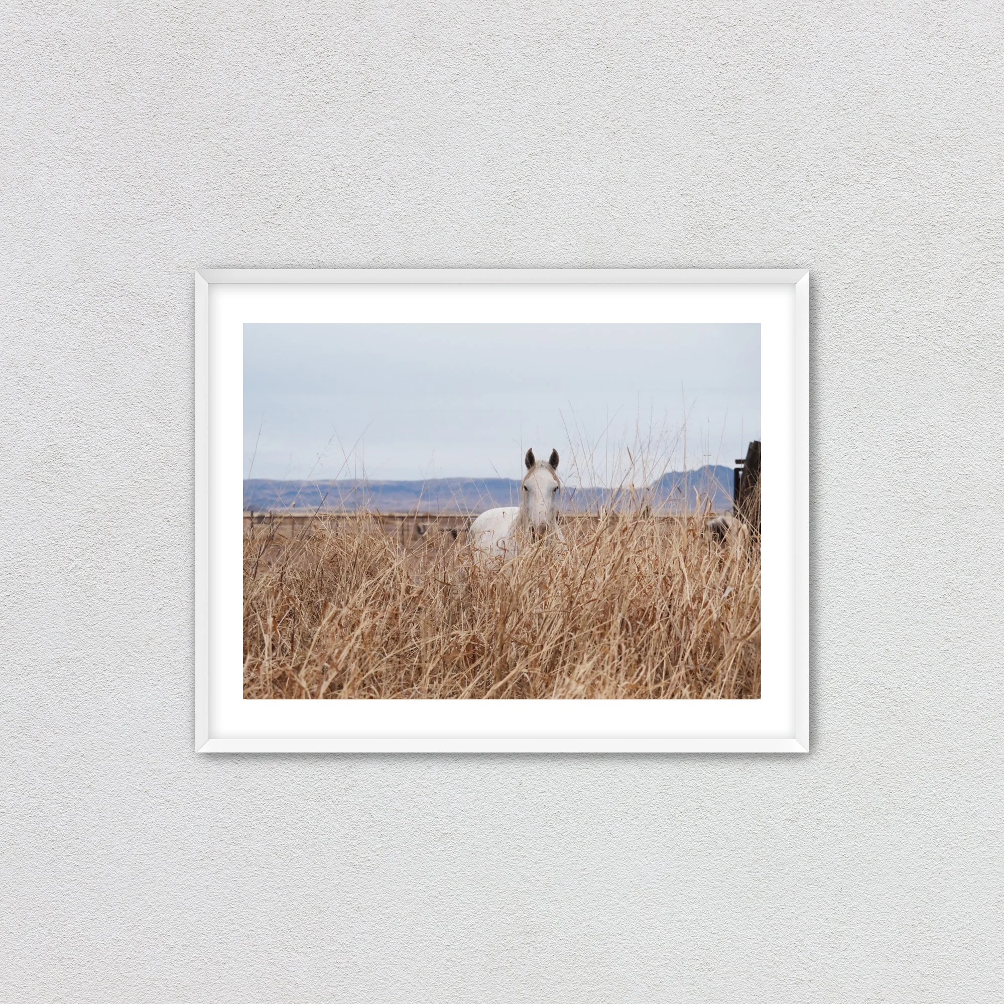 whiteframewithmat.jpg (Copy)