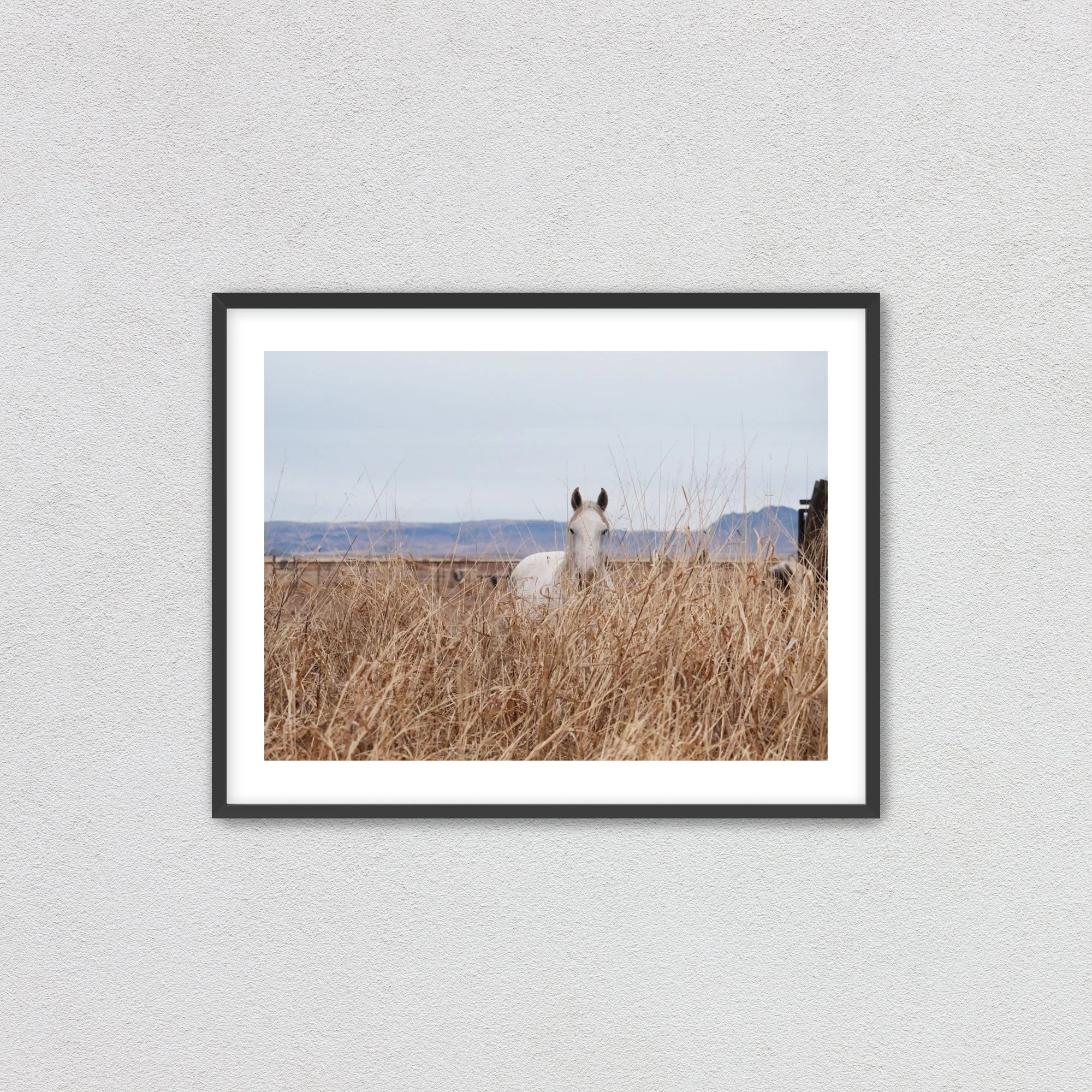 blackframewithmat.jpg (Copy)