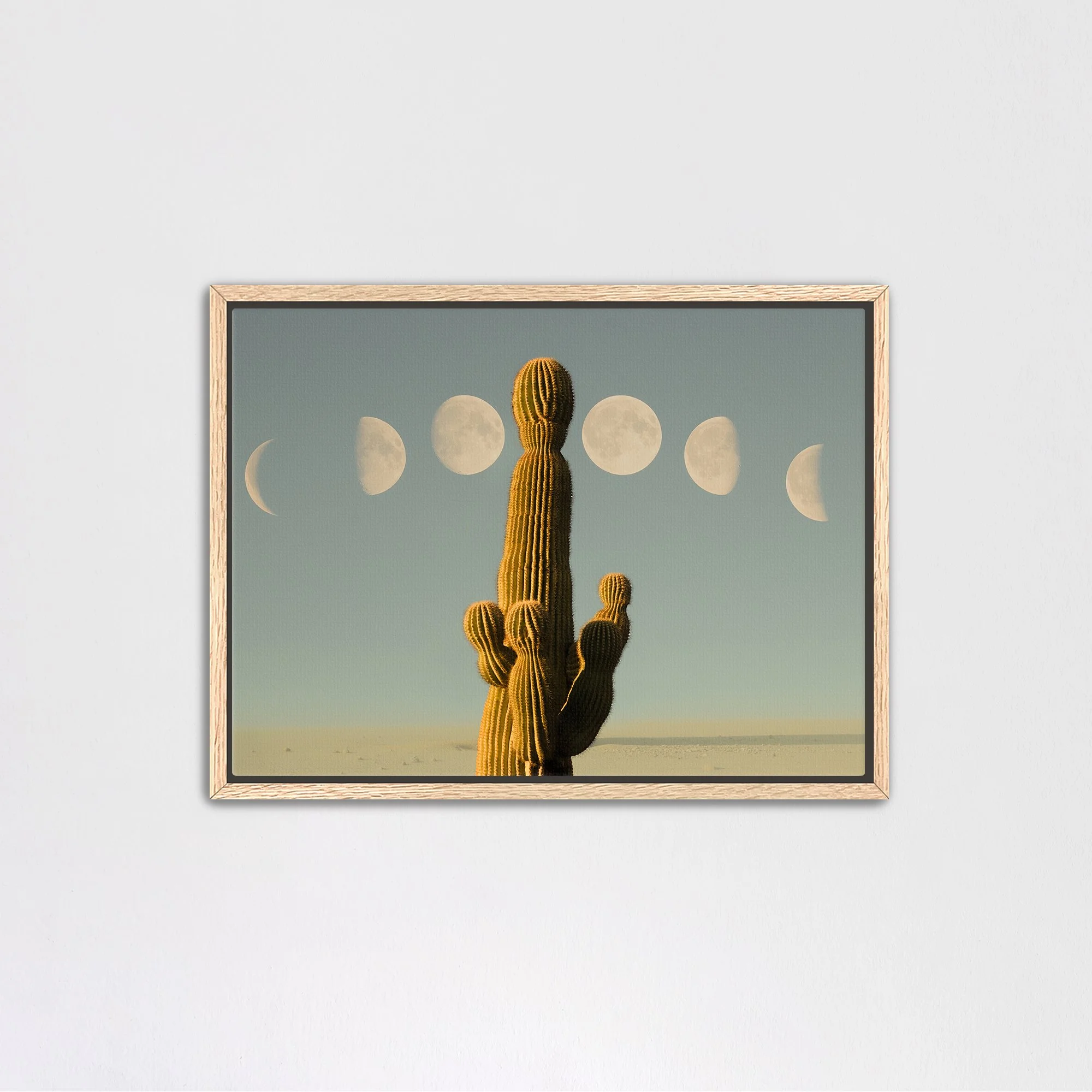 oakcanvas.jpg