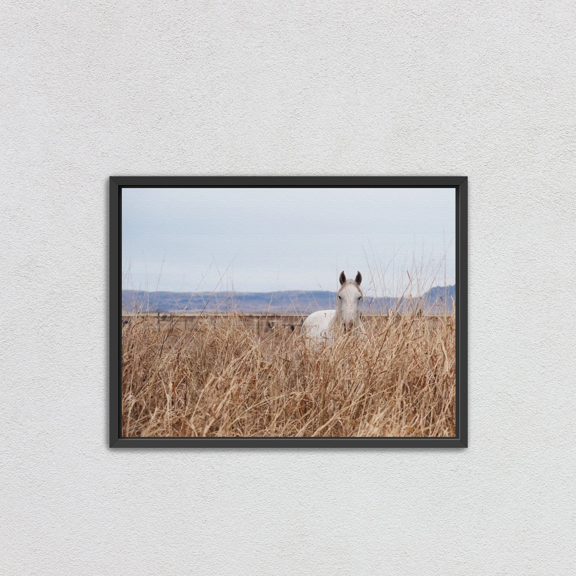 blackframedcanvas.jpg (Copy)