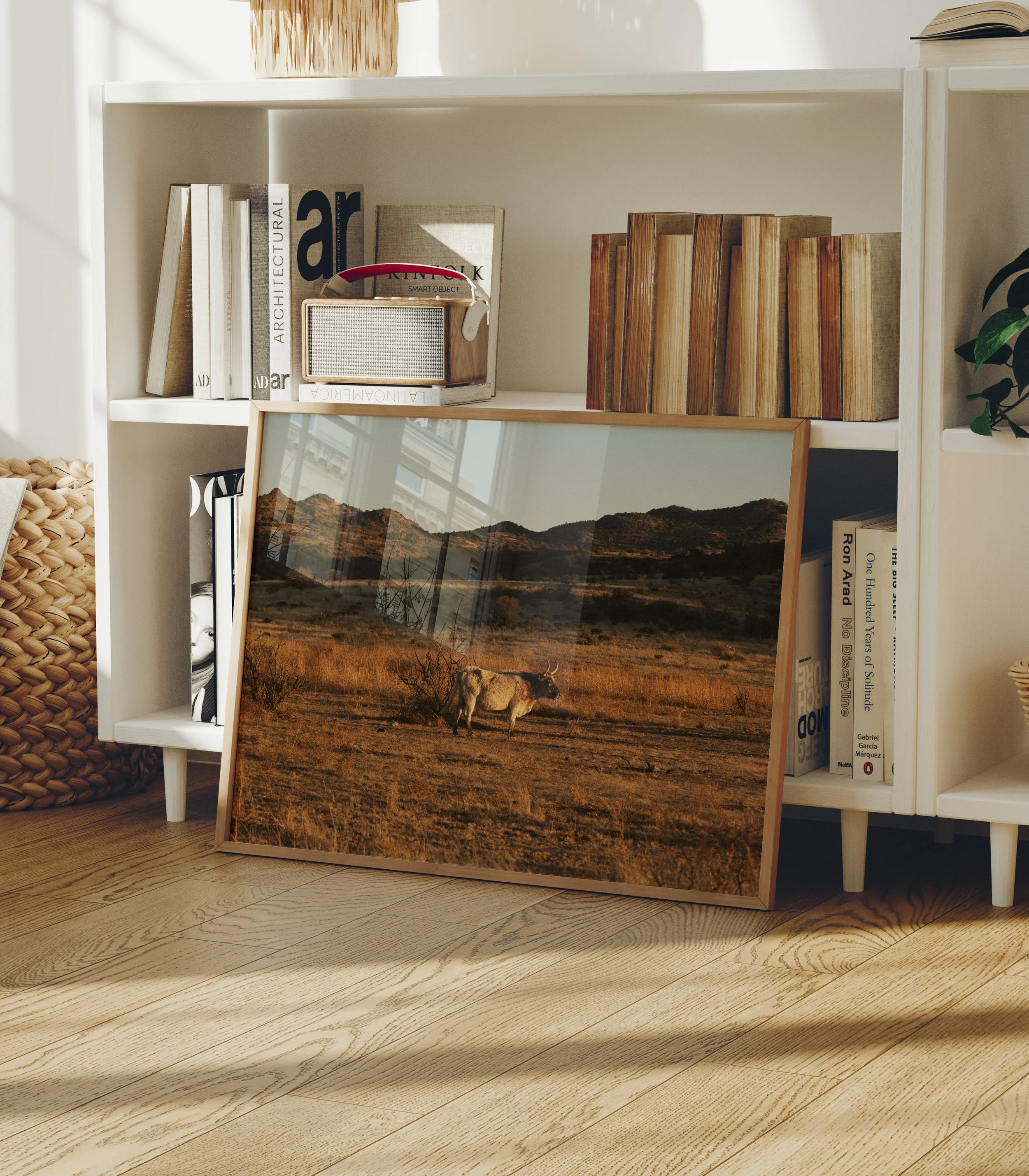 The King of The Plains