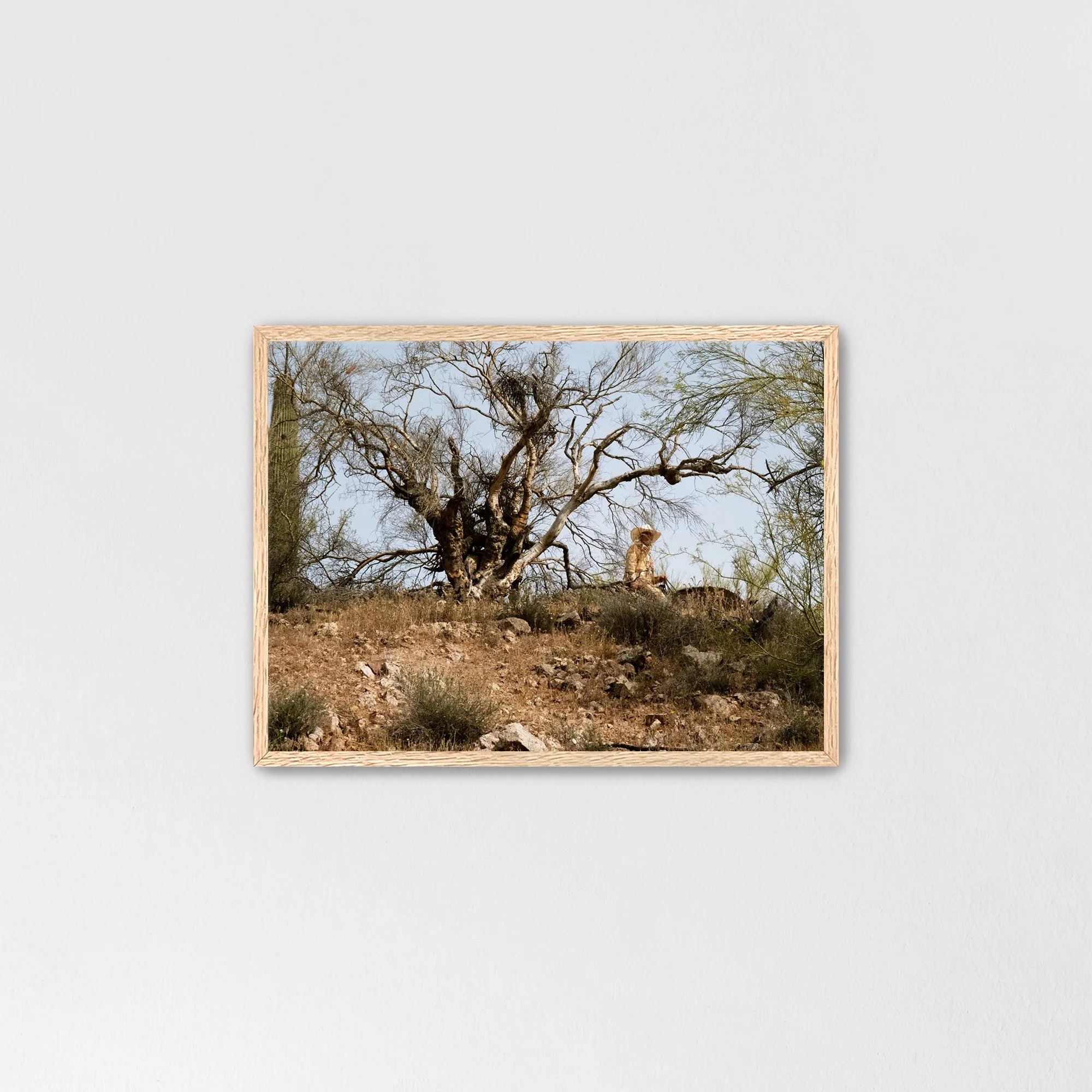 oaknomat.jpg