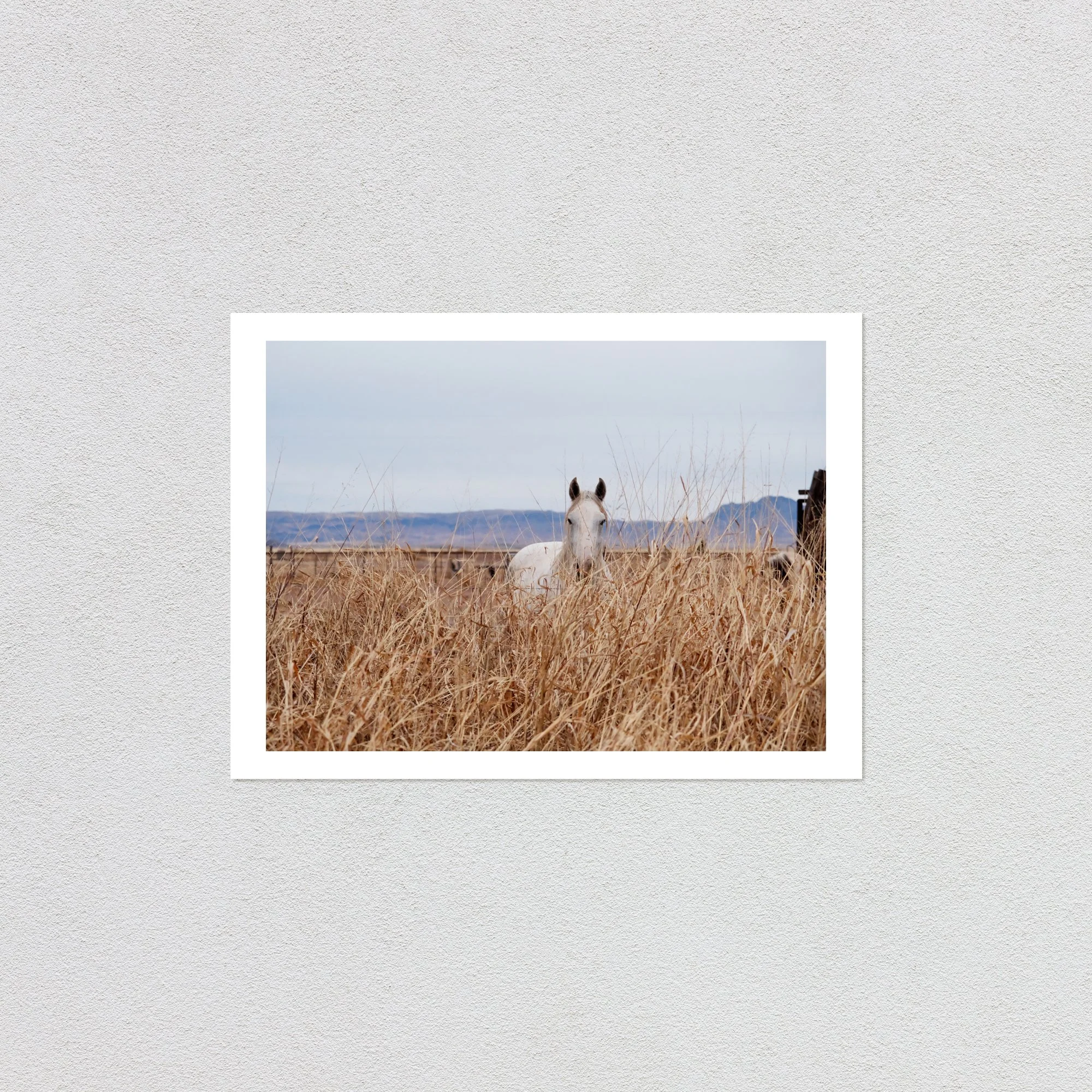 Printwithmat.jpg (Copy)