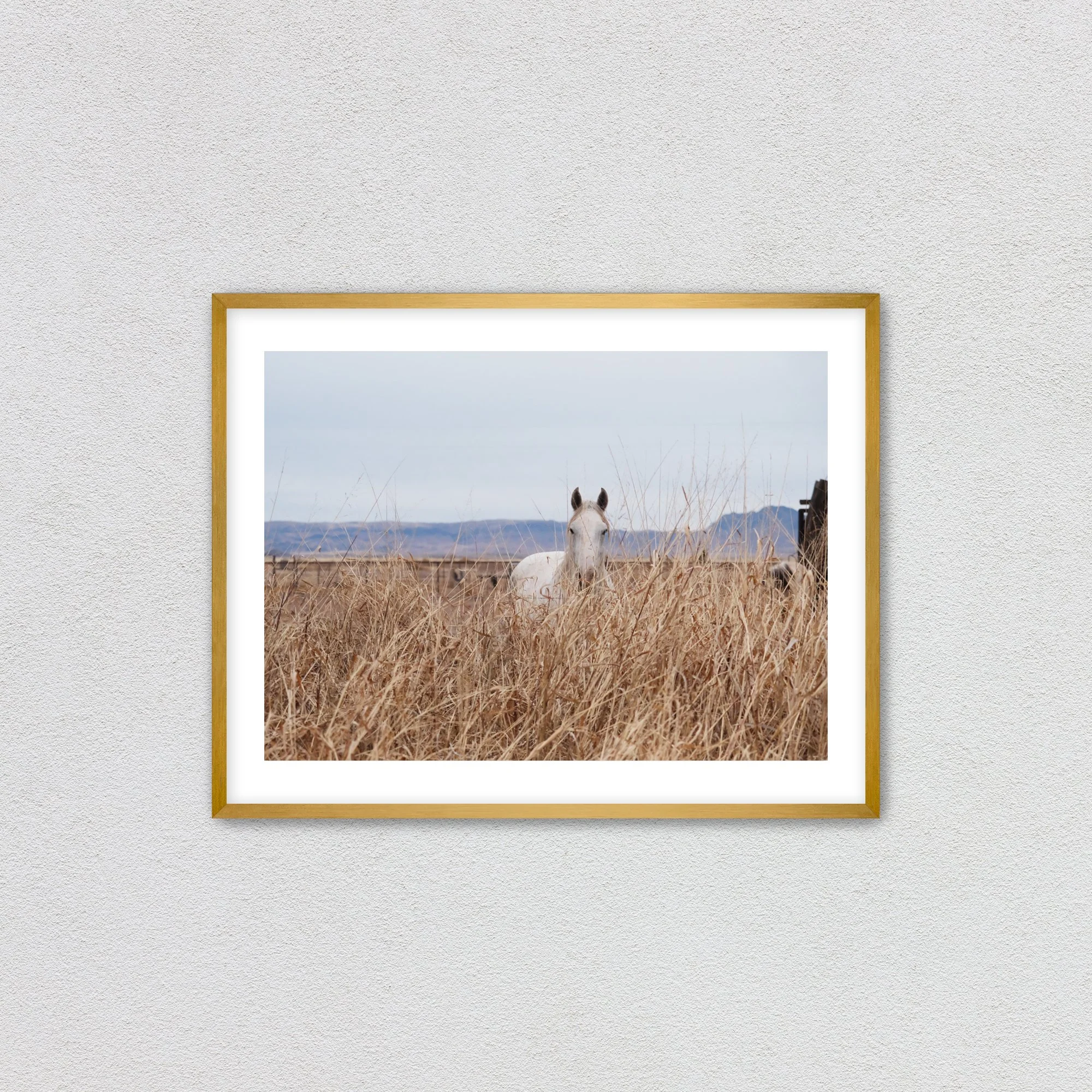 goldwithmat.jpg (Copy)