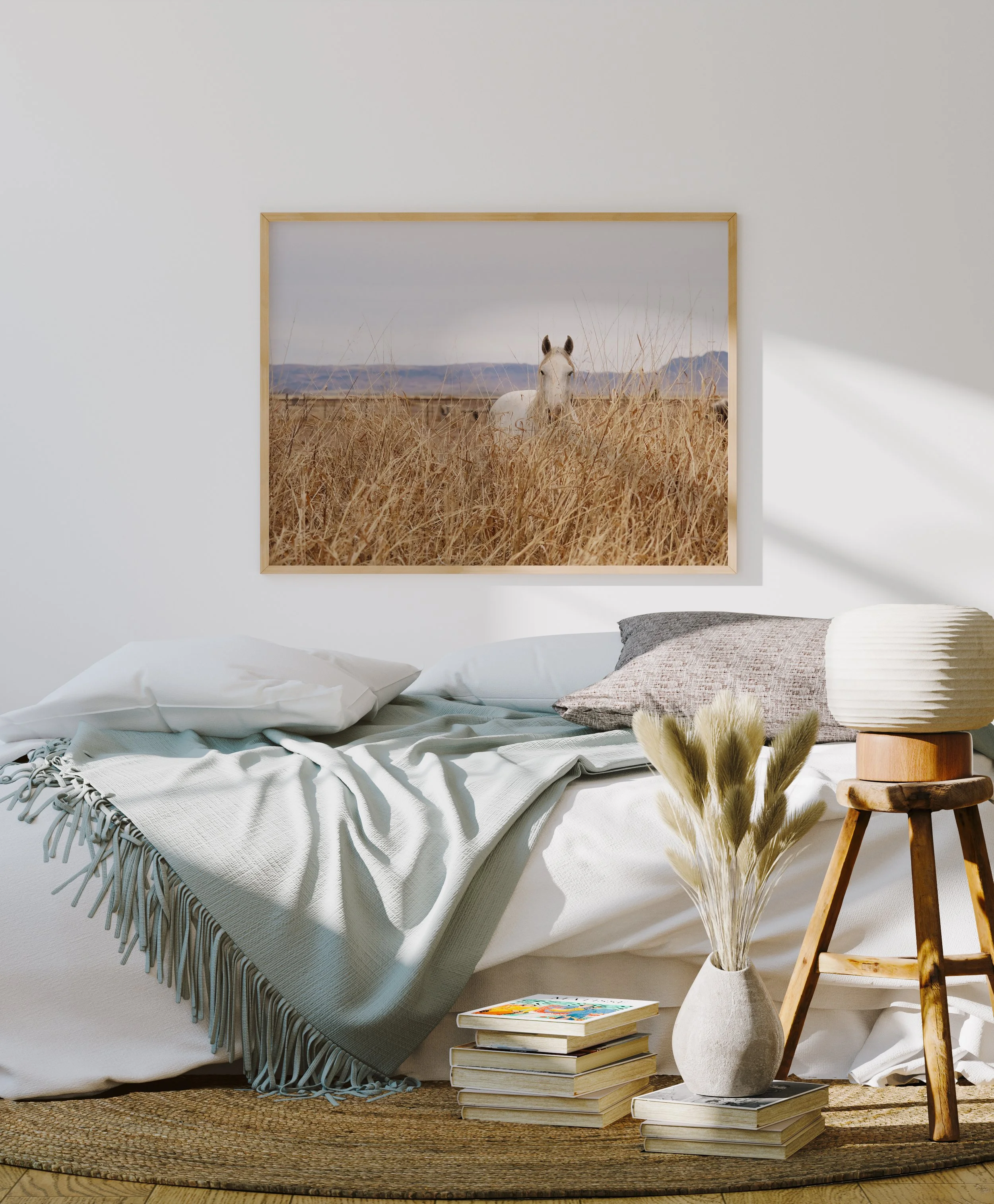 West Texas - Wild Horse