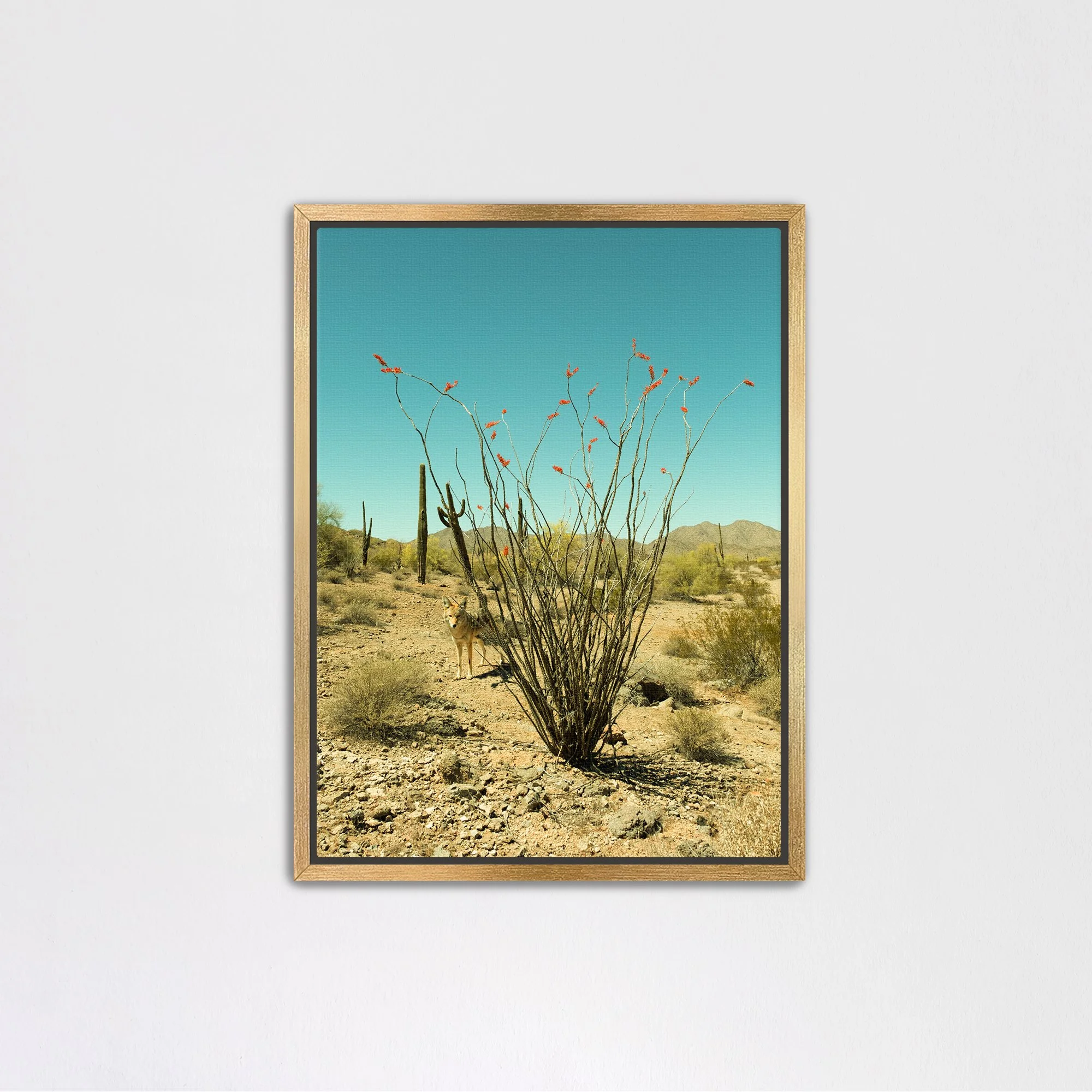 goldcanvas.jpg