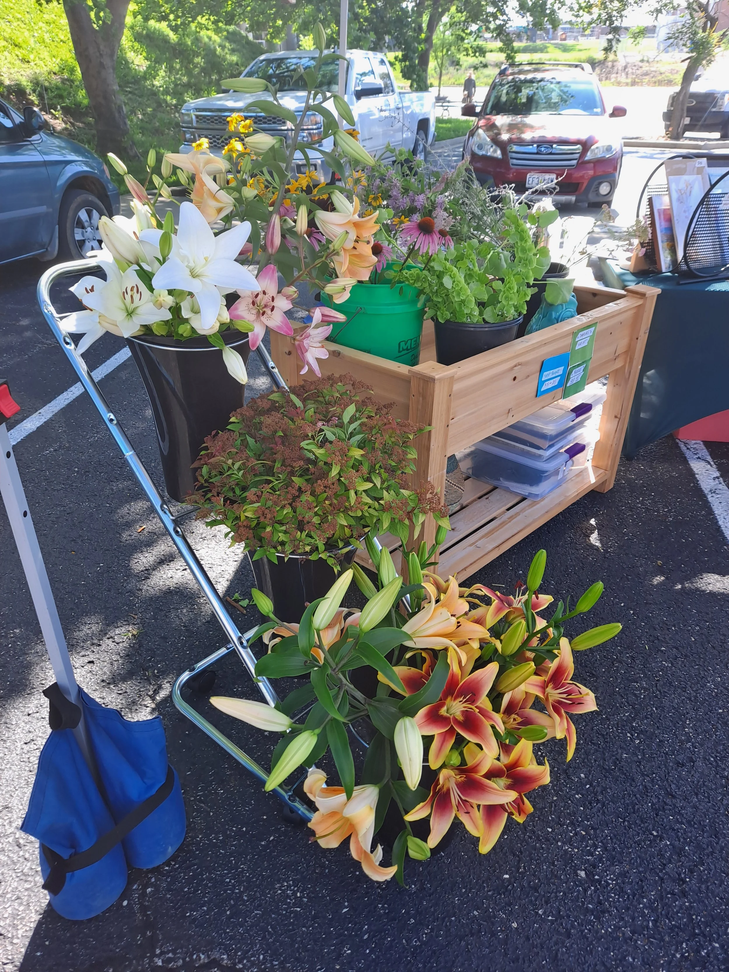 Floral Display June 21 2025.jpg