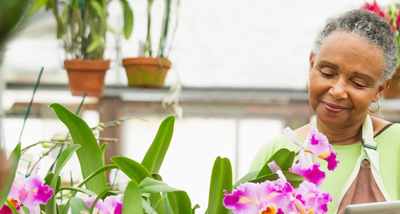 Retirement Plan Choices for Small Businesses