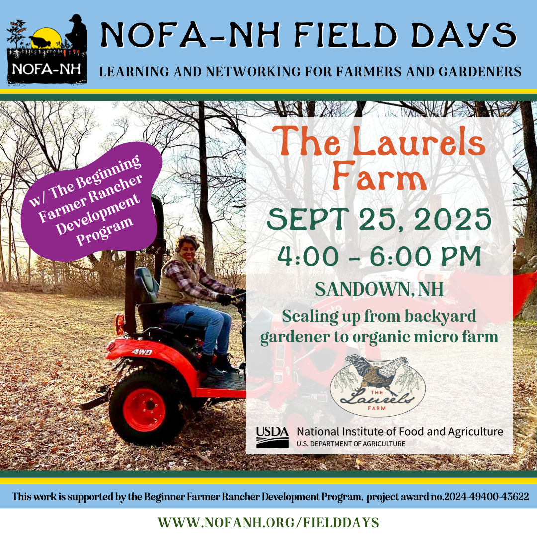 The Laurels Farm Field Day