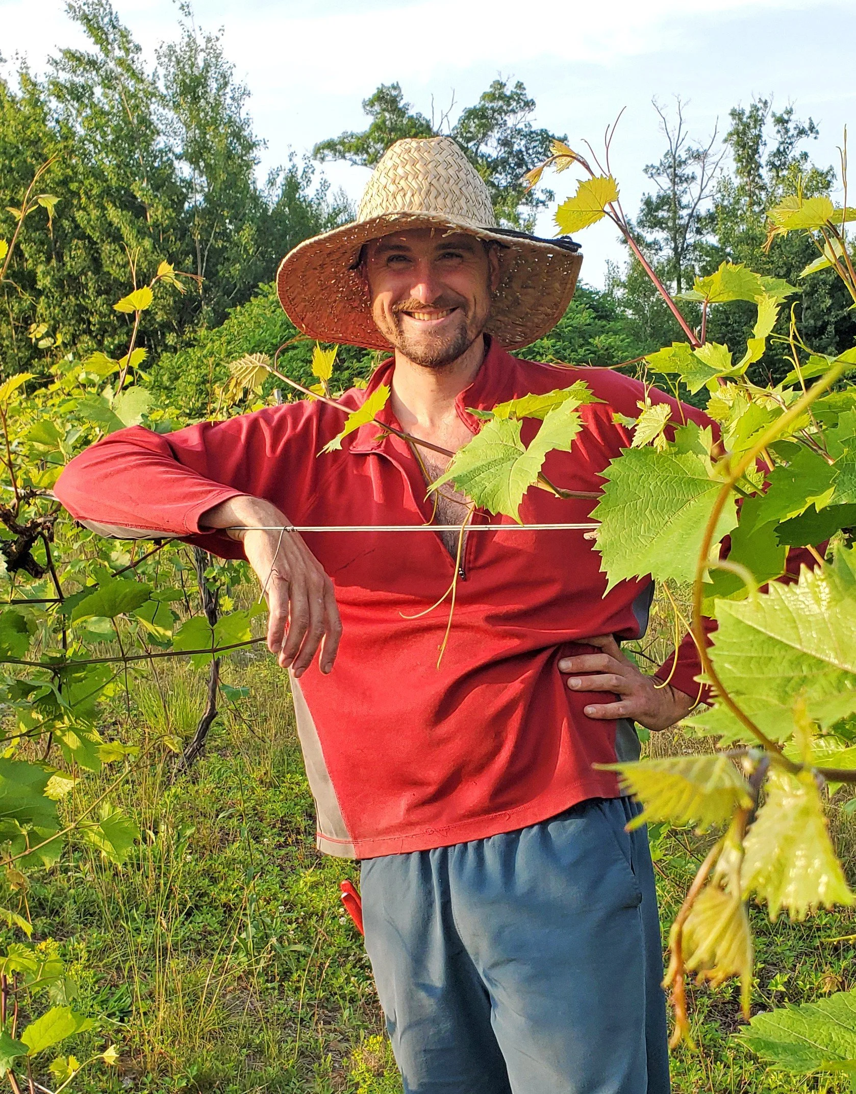 Farmer Resilience Grant Stories: NOK Vino