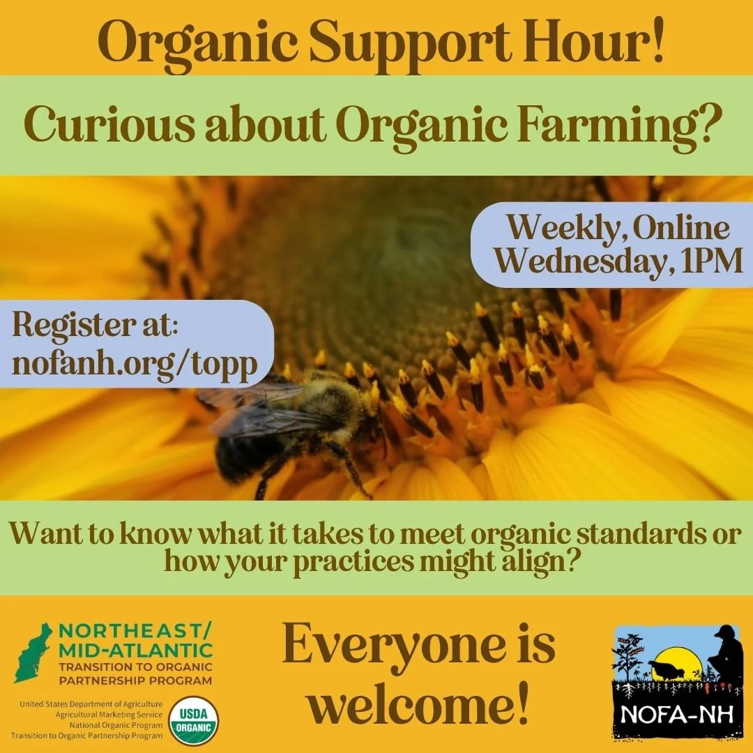 Organic Support Hour - Weekly, Online