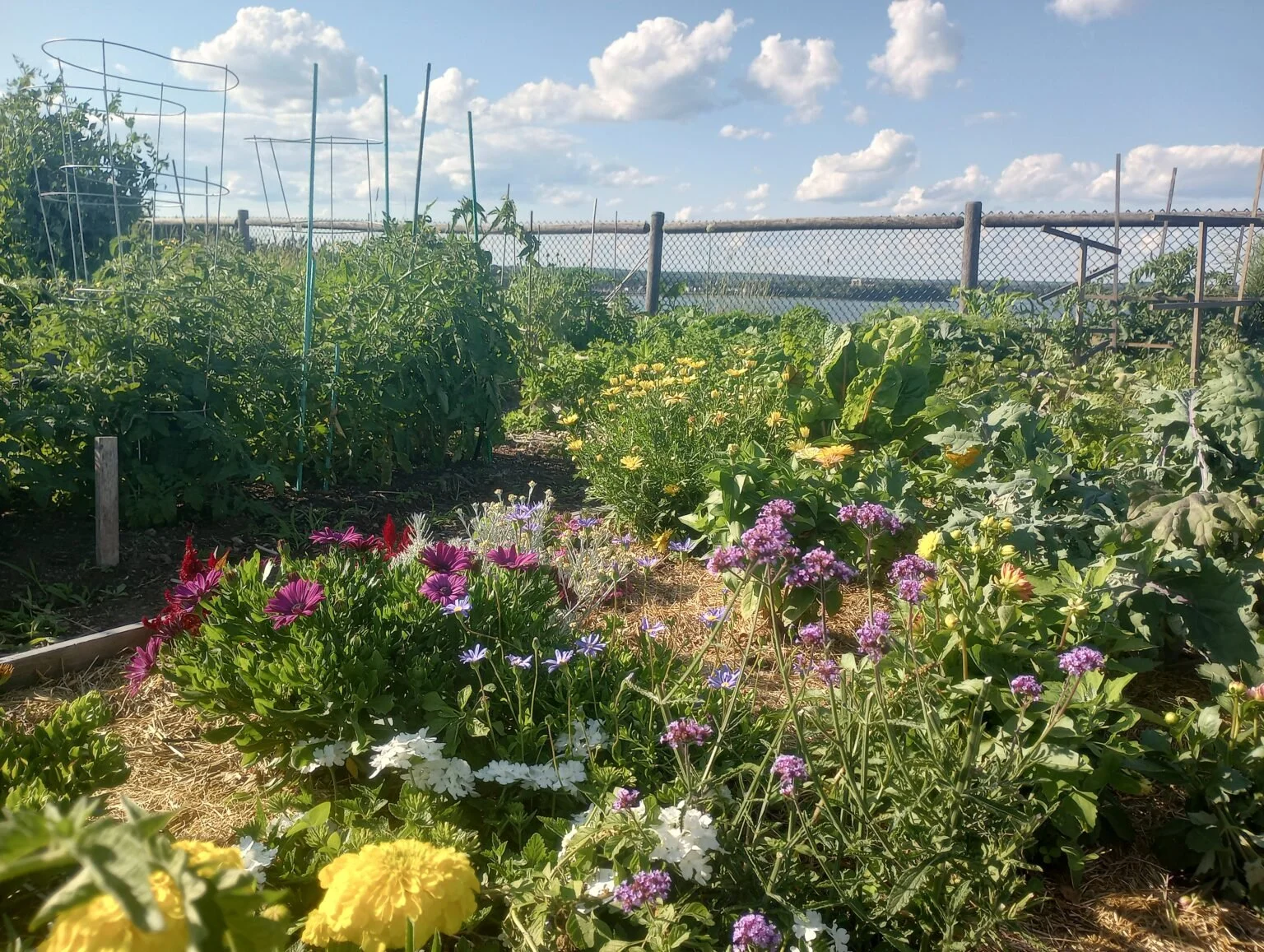 Gardening in Climate Change: Community Resilience