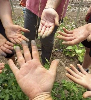 Branch Hill Farm is Hiring a "Farm Production Manager" (Milton Mills, NH)