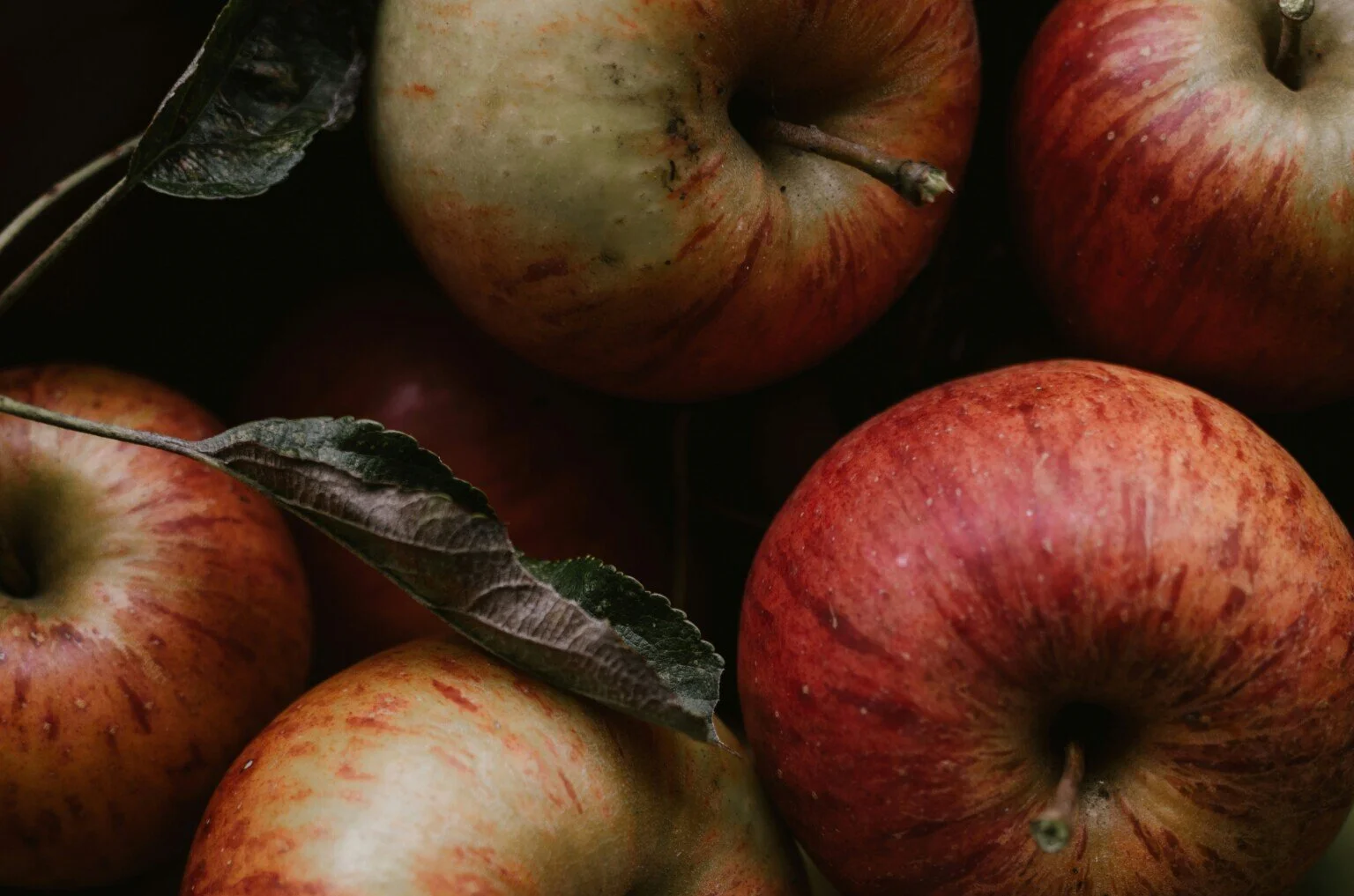 Webinar: Advancing Regional Organic Markets: A Farmer’s Toolkit (Northeast)