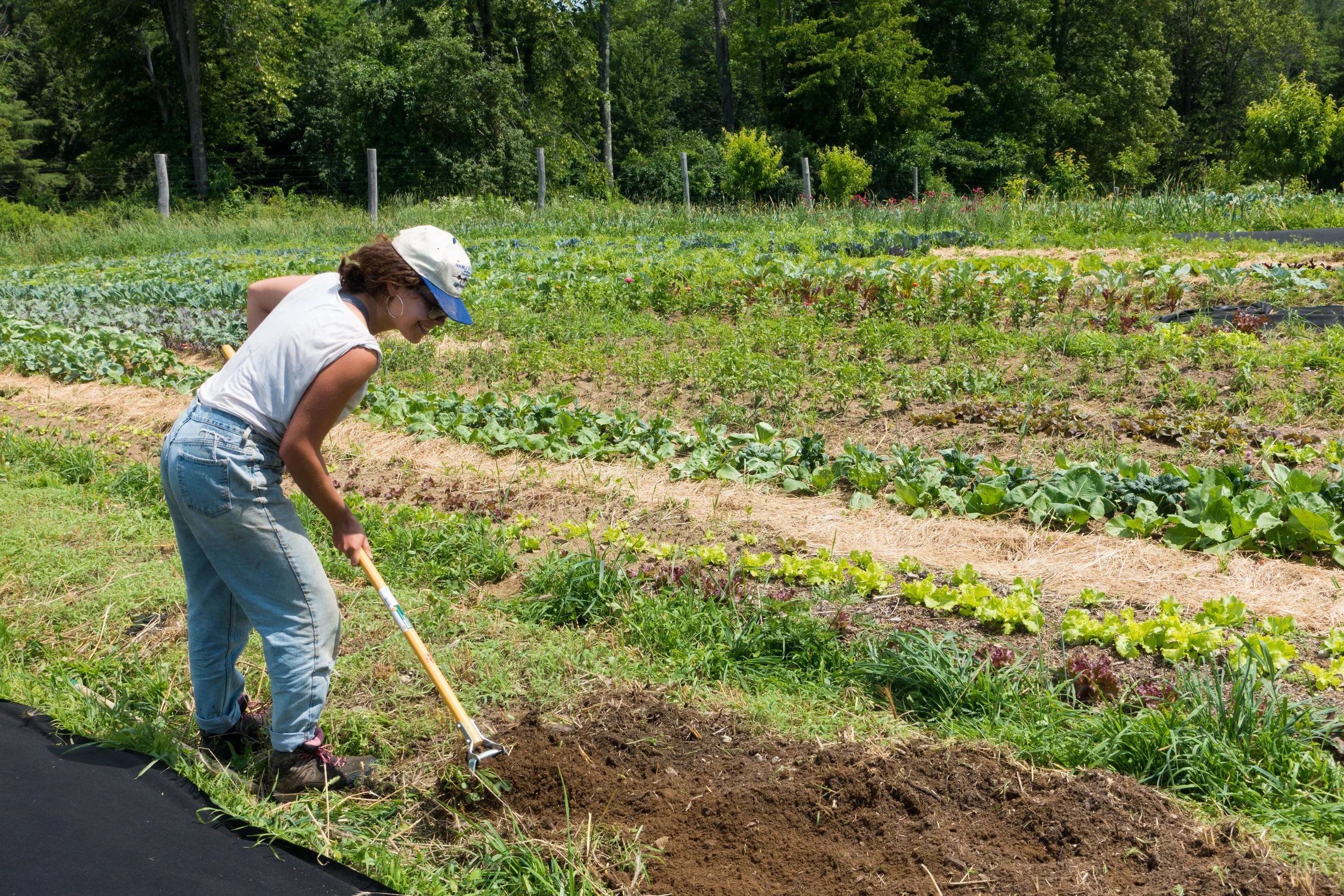 Camp Glen Brook Hiring a Garden Manager