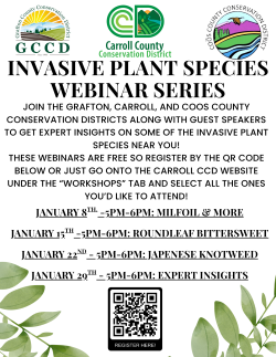 Invasive Plant Species Webinar Series