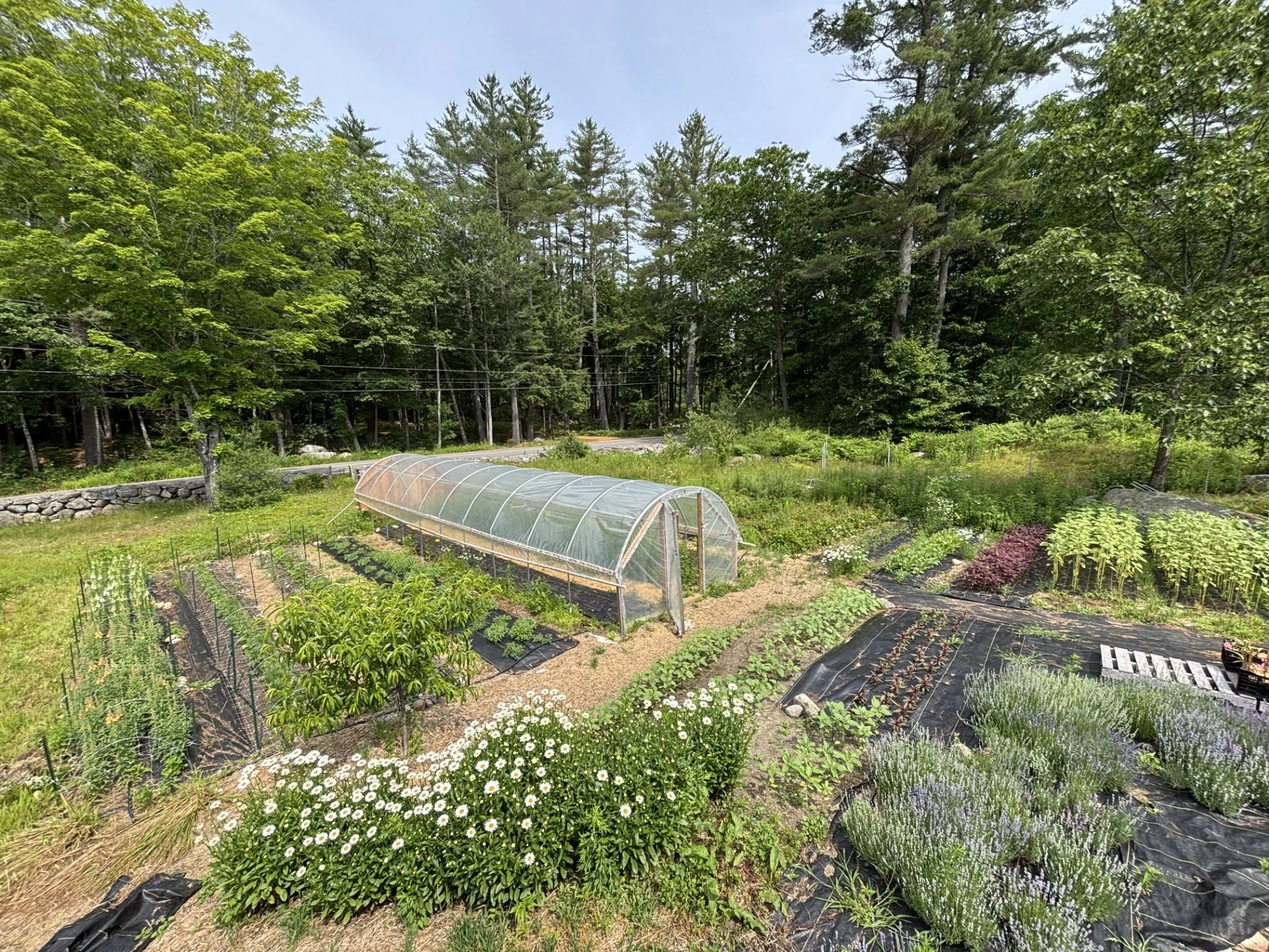 Your Neighbor’s Flowers is Hiring the 2026 Farm Crew!