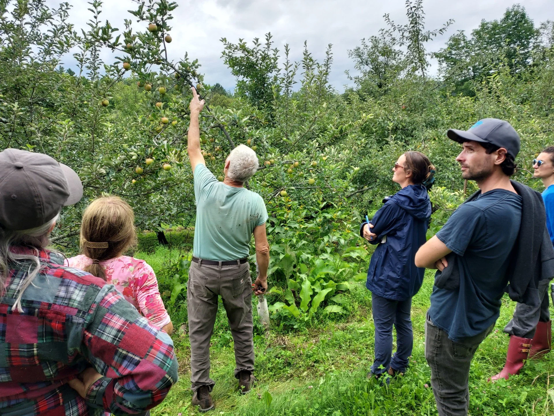 Holistic Orchard Apprenticeship Course – 2026