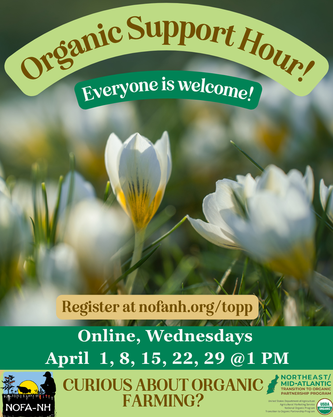 Organic Support Hour - Weekly, Online