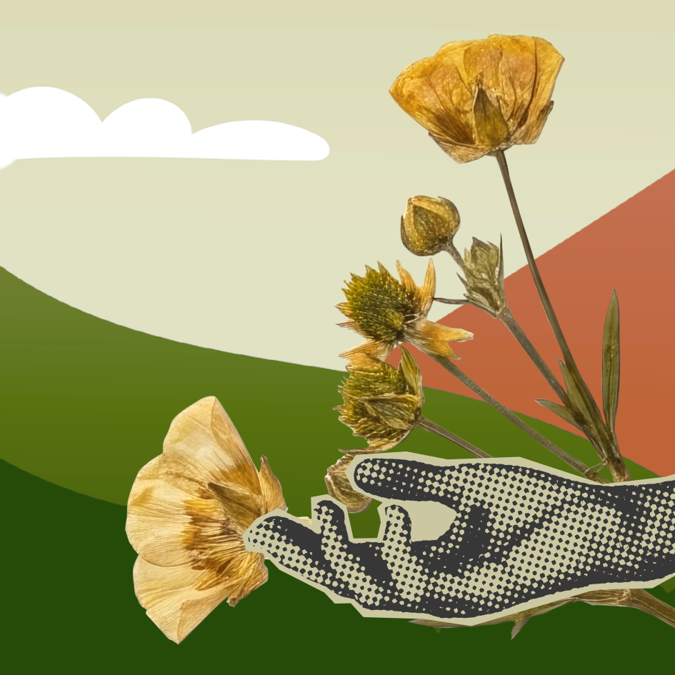 FSNE 21-Day Racial Equity Habit-Building Challenge