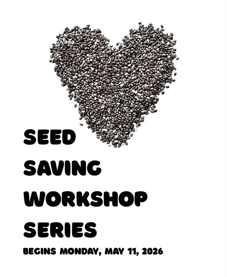 Seed Saving Workshop Series