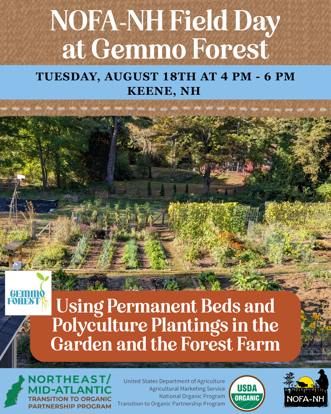 Field Days: Gemmo Forest