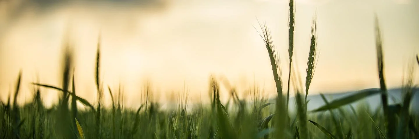 Conservation Evaluation and Monitoring Activity (CEMA) 216 Soil Health Testing Information Session for Qualified Individuals 