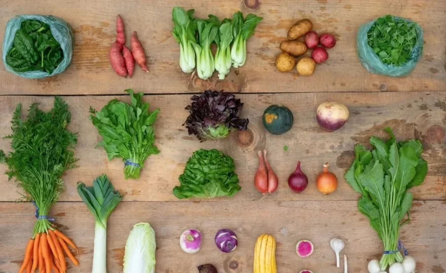 Scale & Strategy: Building a Viable, Healthy Farm: NOFA-MA