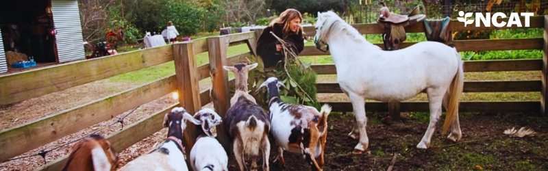 Learn to Integrate Goats into Your Farm System