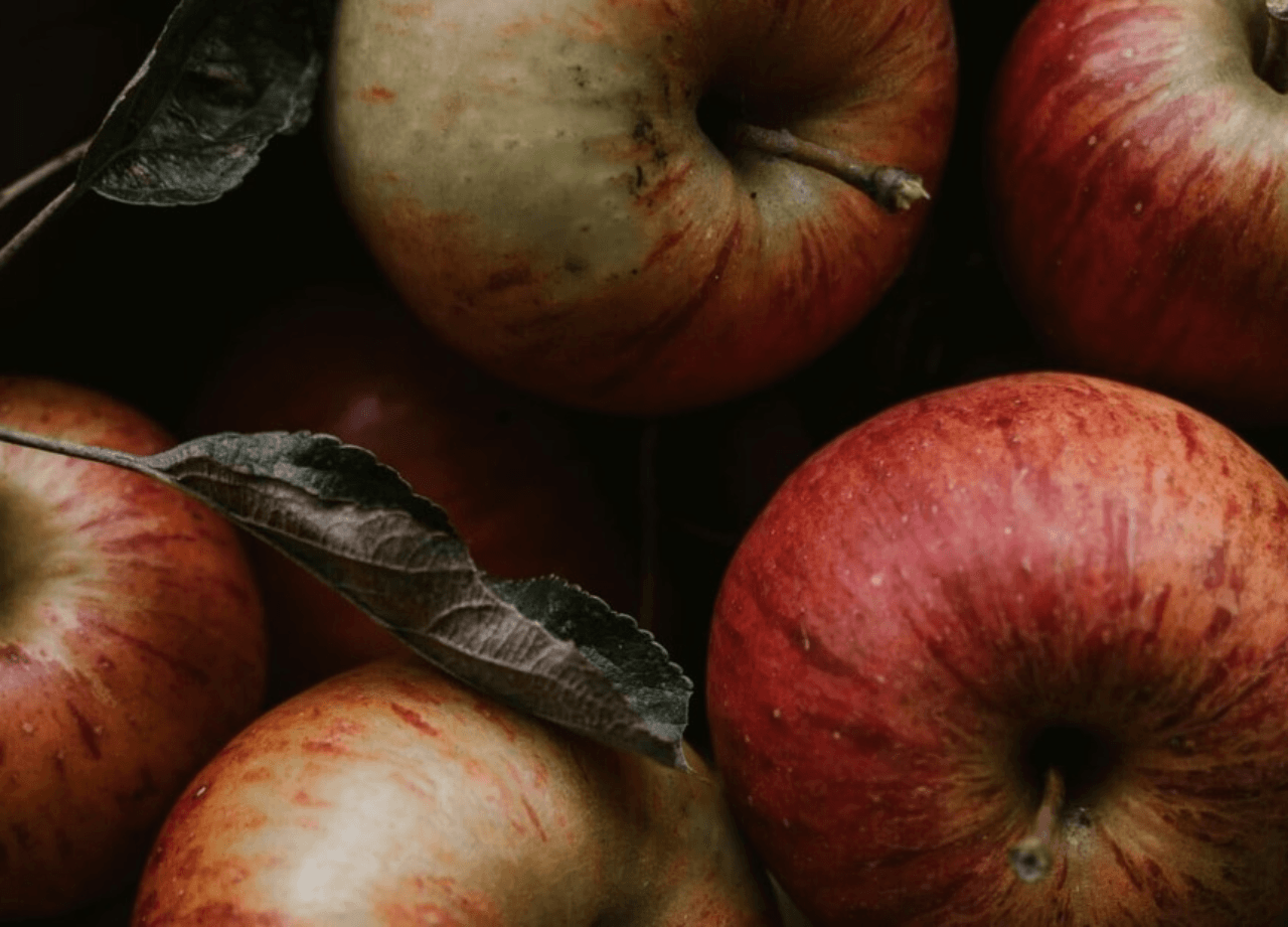 Advancing Regional Organic Markets: A Farmer’s Toolkit