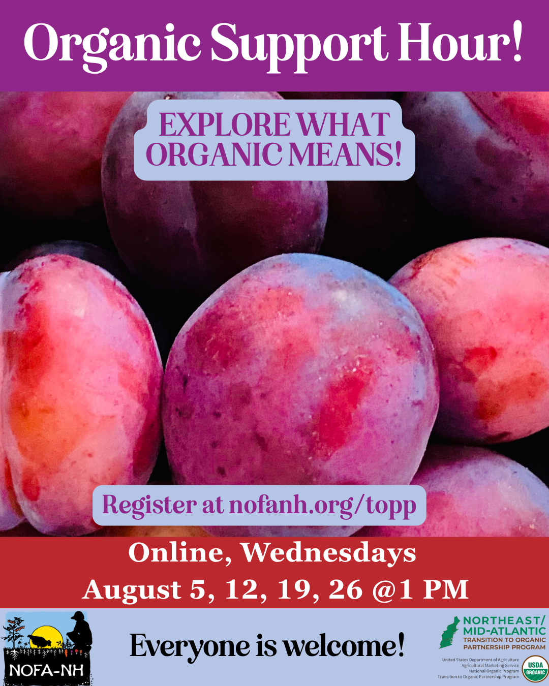 August Organic Support Hour 