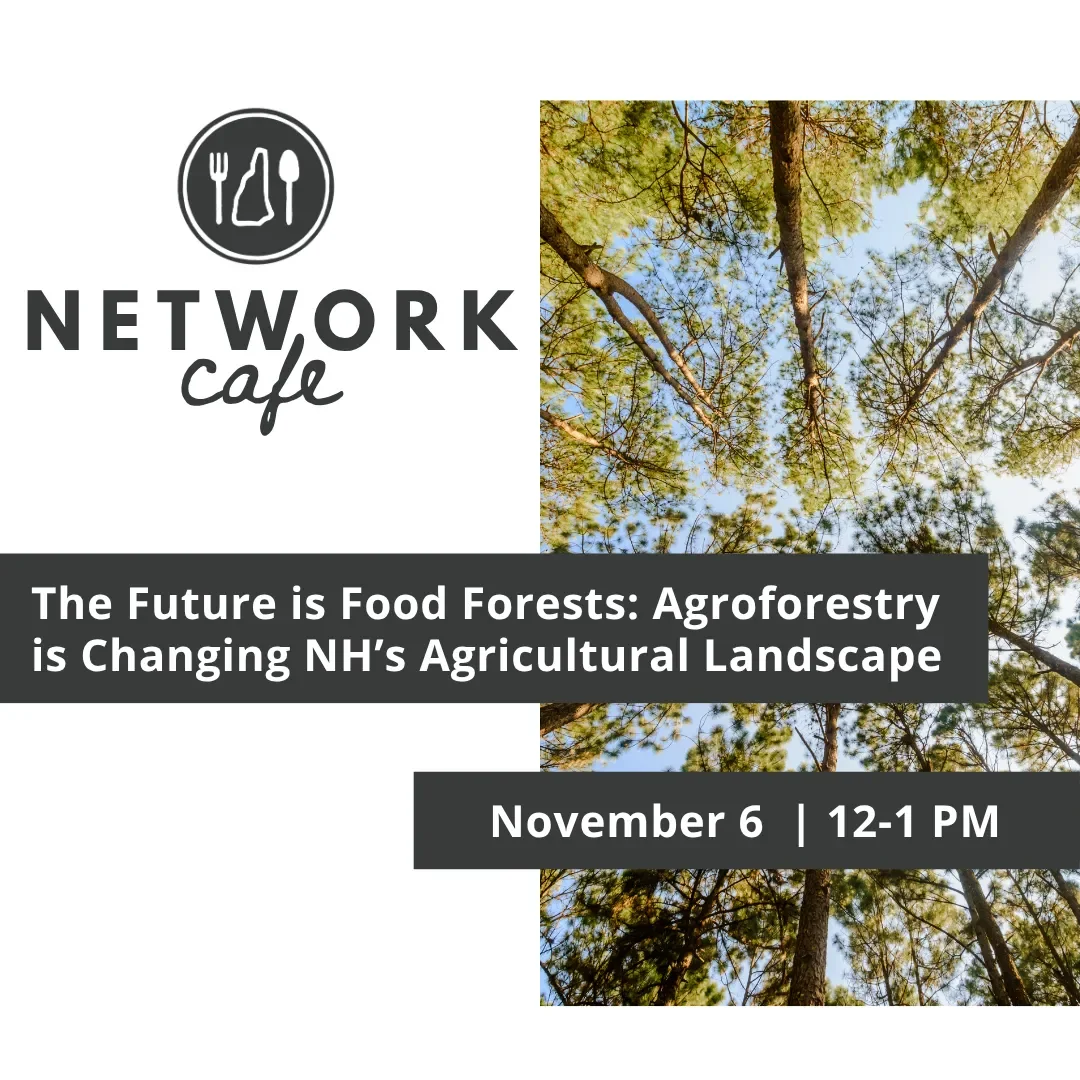 The Future is Food Forests: Agroforestry is Changing NH’s Agricultural Landscape