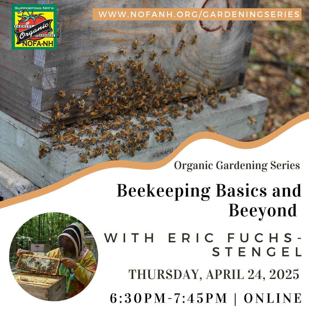 Beekeeping Basics Webinar