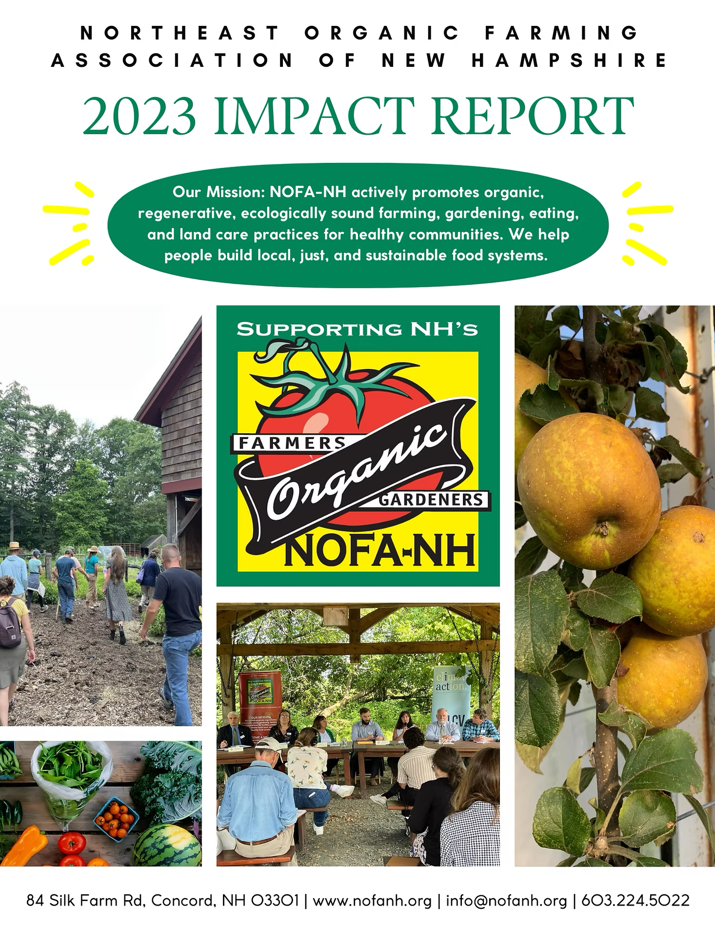 2023 Impact Report