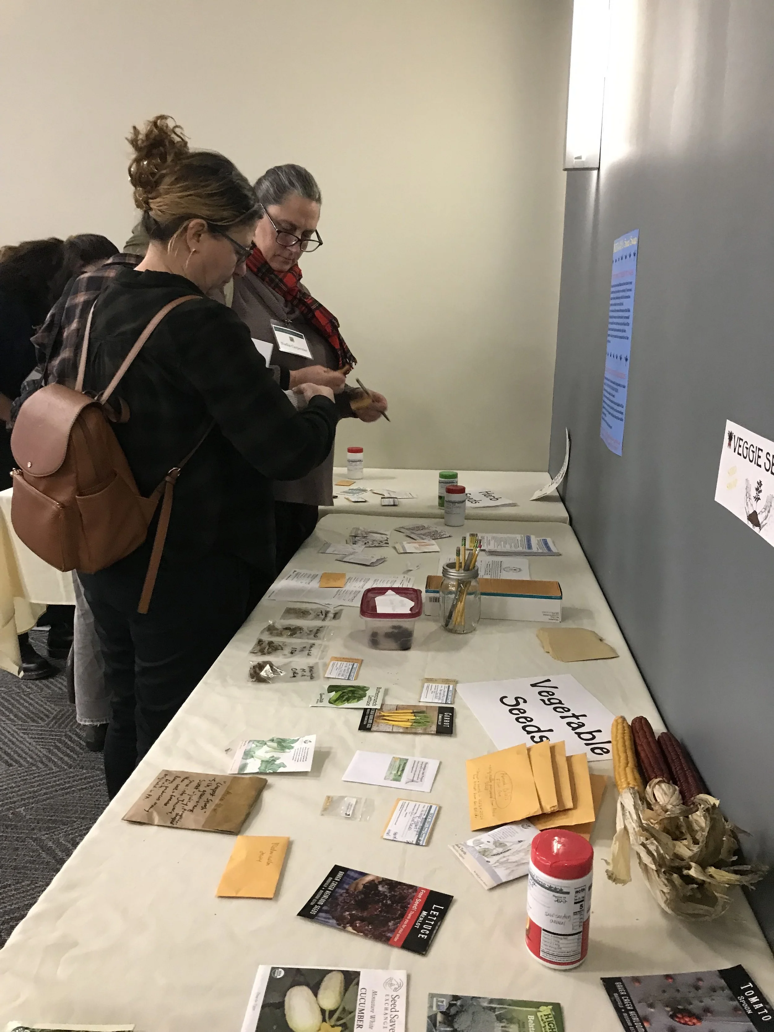 Seed Swap 1.jpg