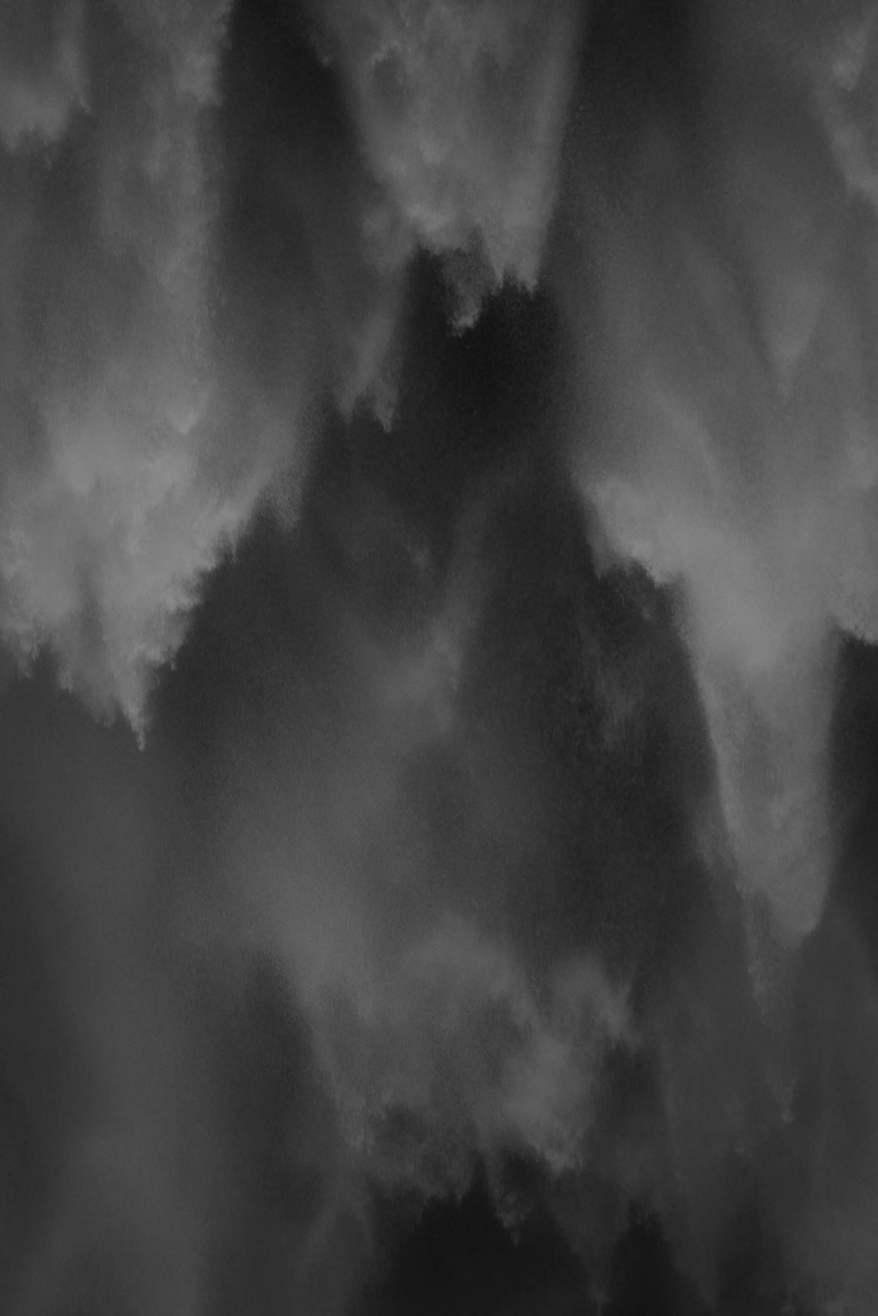 VELUM
Latin: veil
Revealing through concealment.
120x 180 cm Edition 4+3 AP
