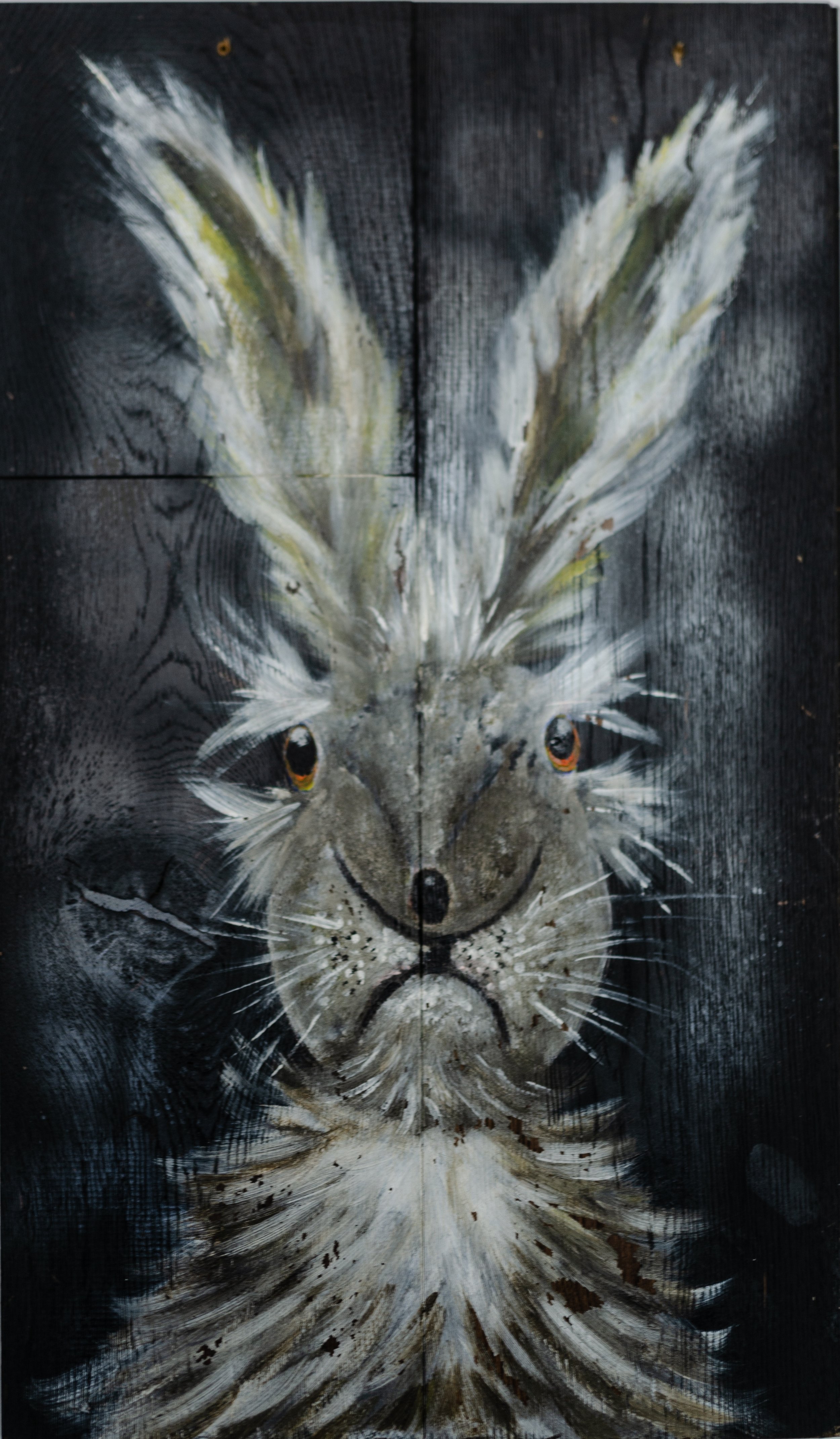 BUTTONNOSEHARE.jpeg