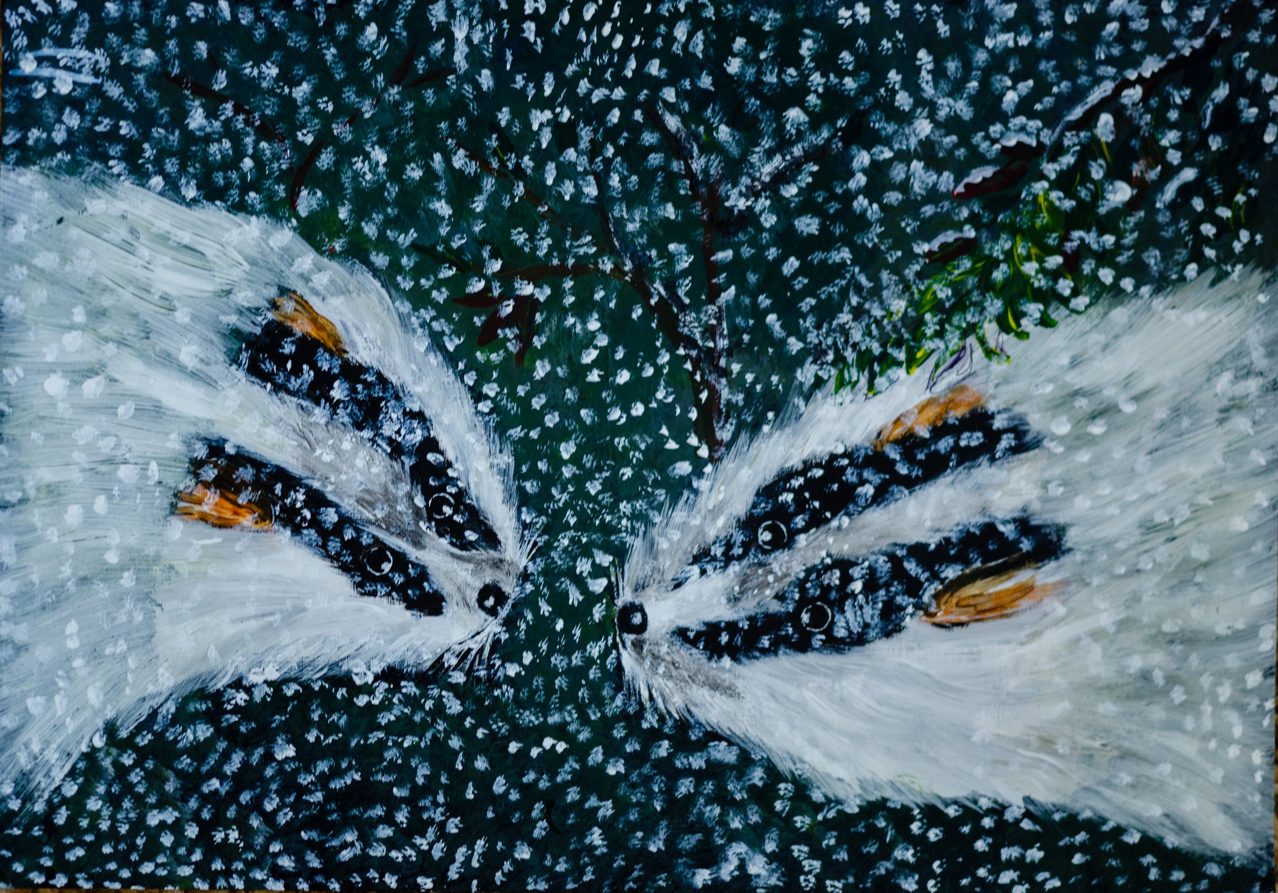 DSC_1468.jpeg