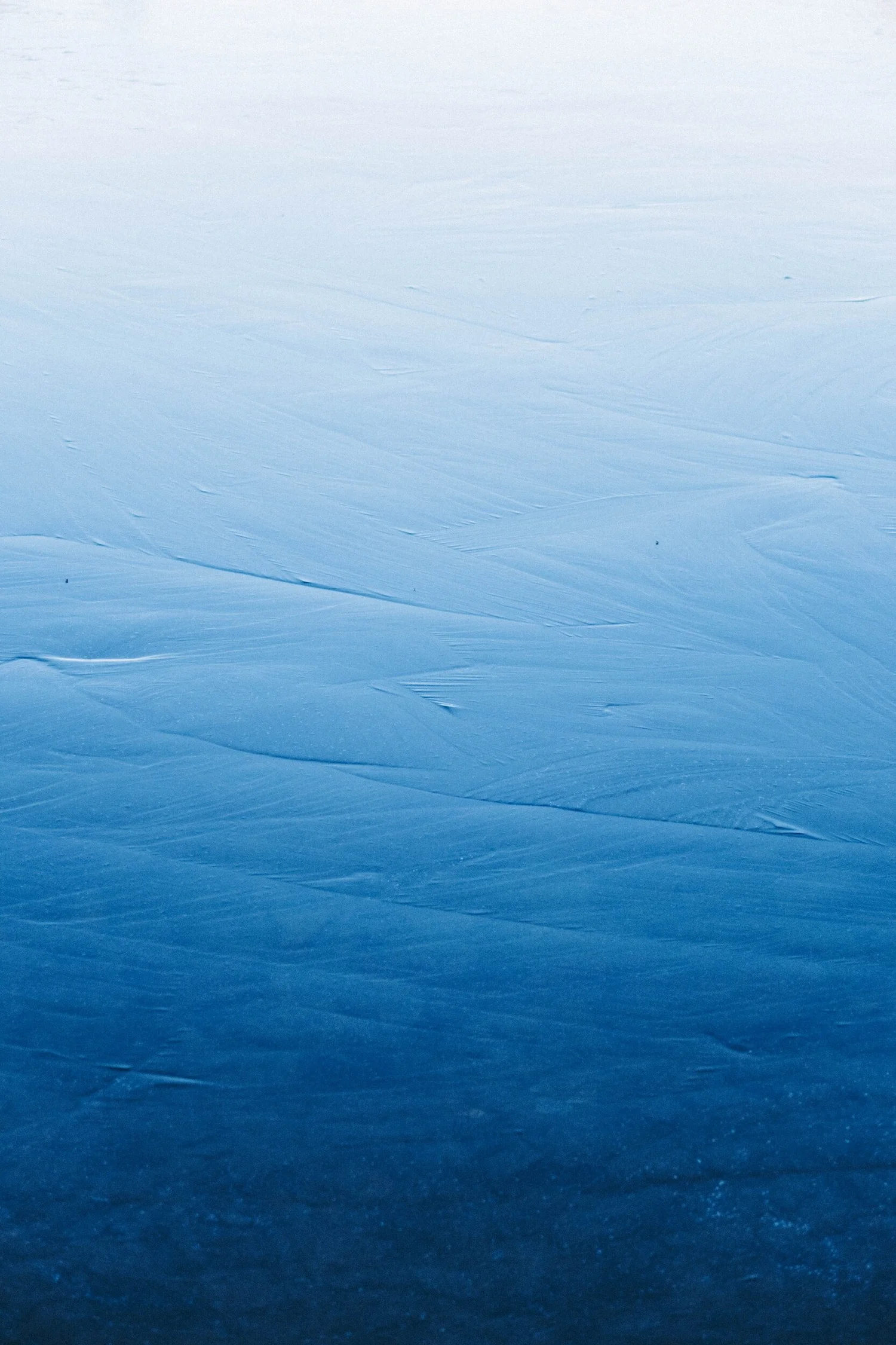 Lake Charter Township