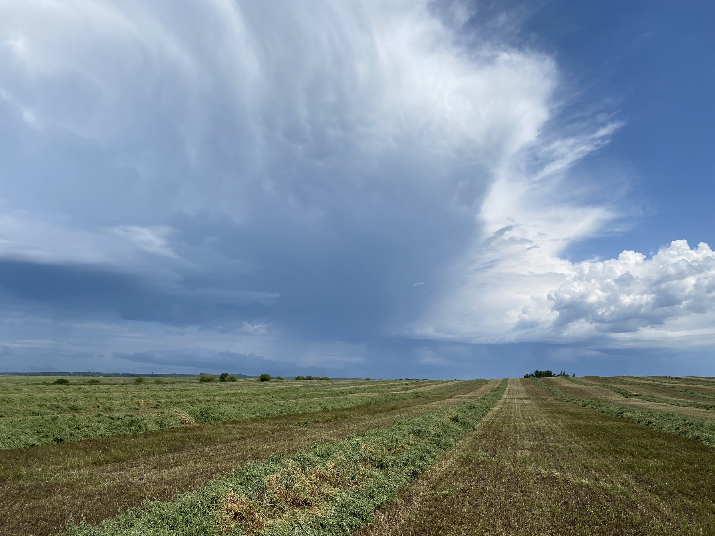 Saskatchewan summer clouds