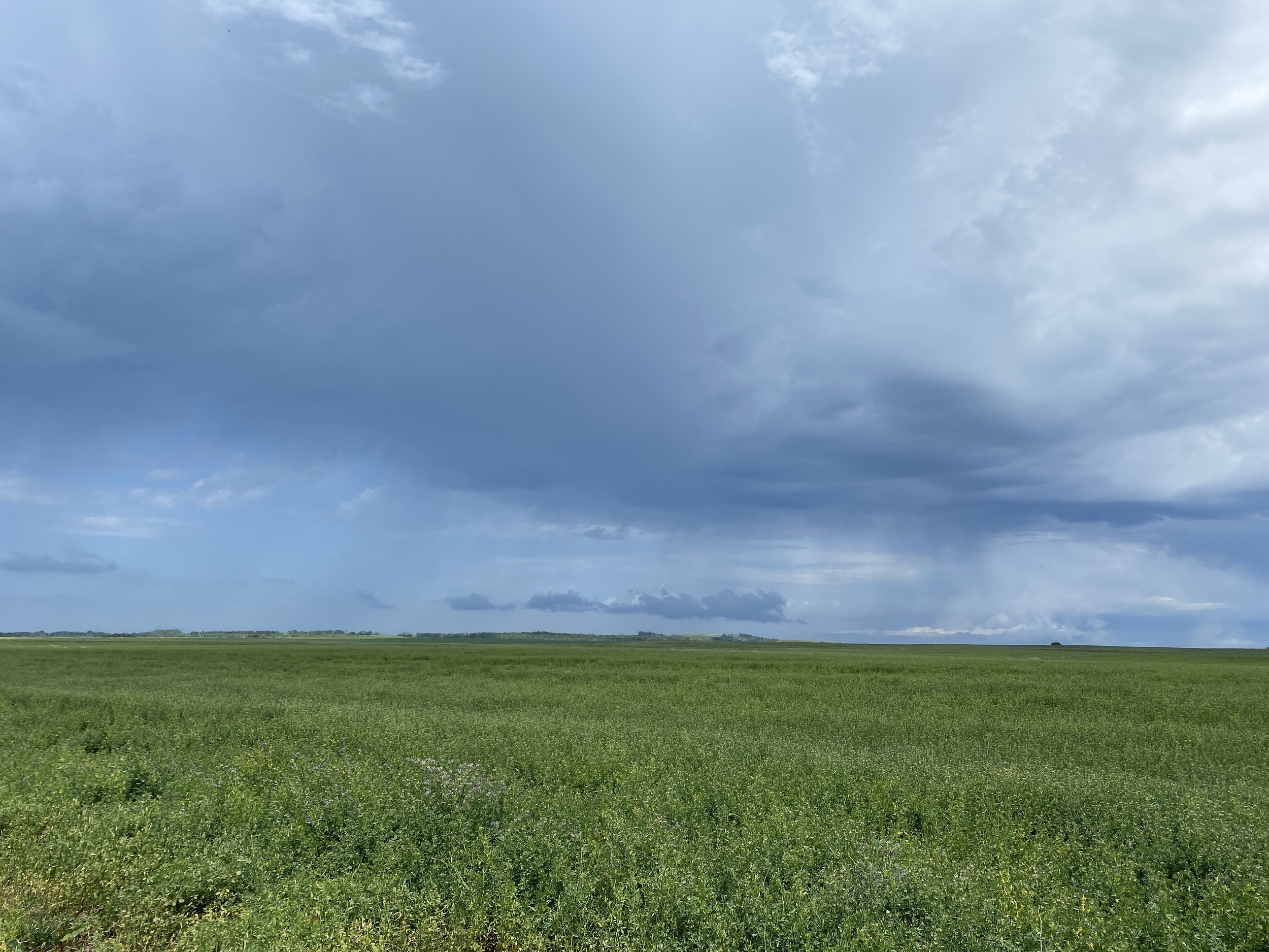 Rain coming into Saskatchewan