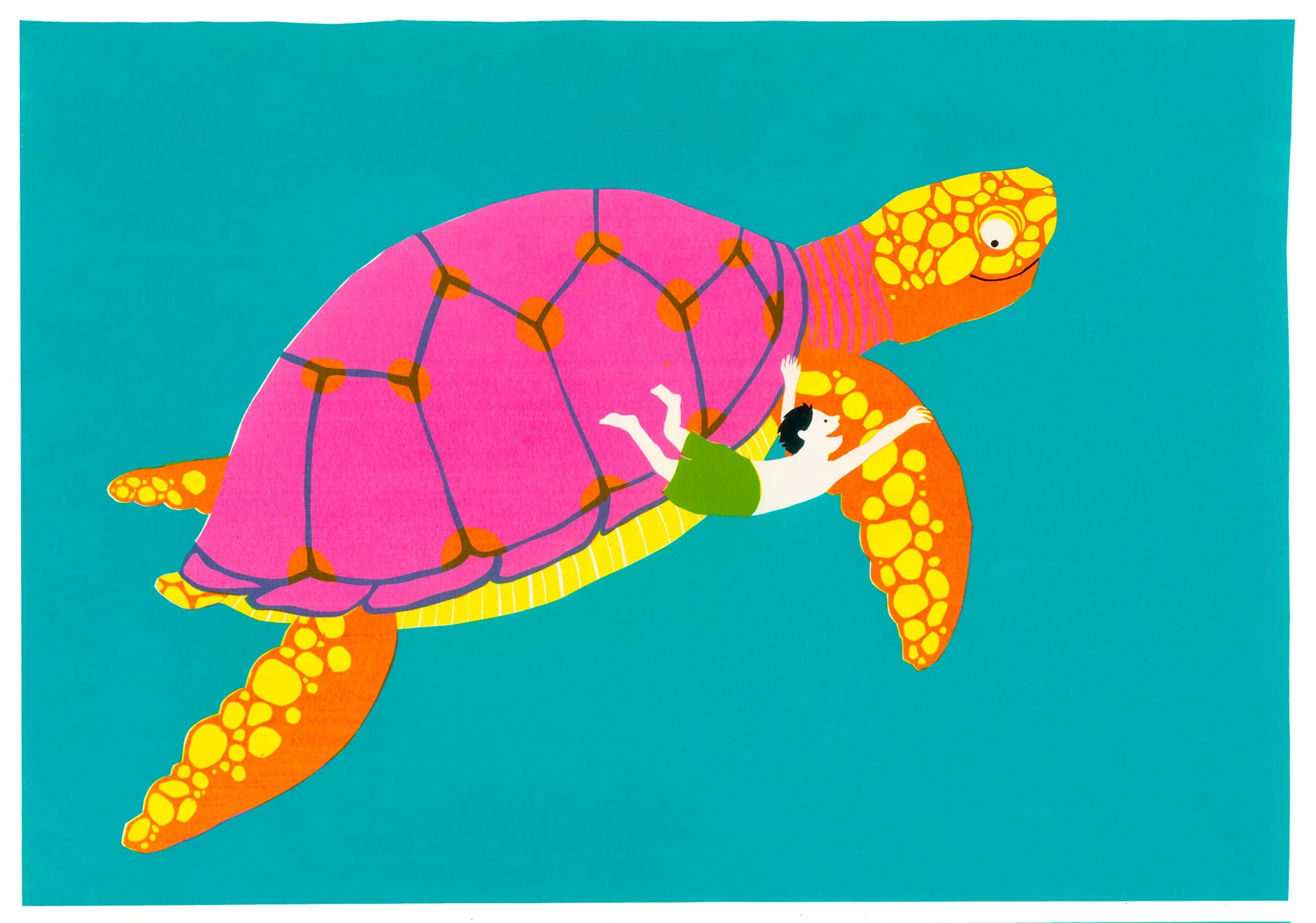 tortue.jpg