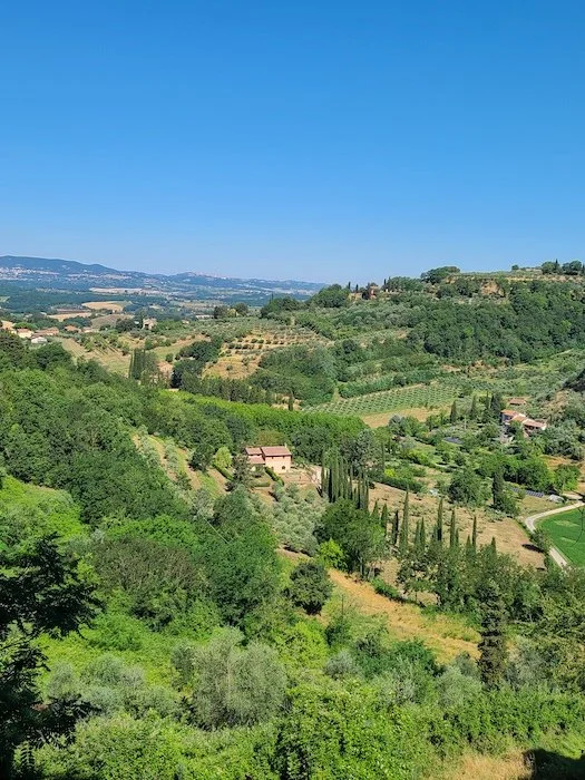 Italian countryside with vineyards, trees, and rolling hills under clear blue sky