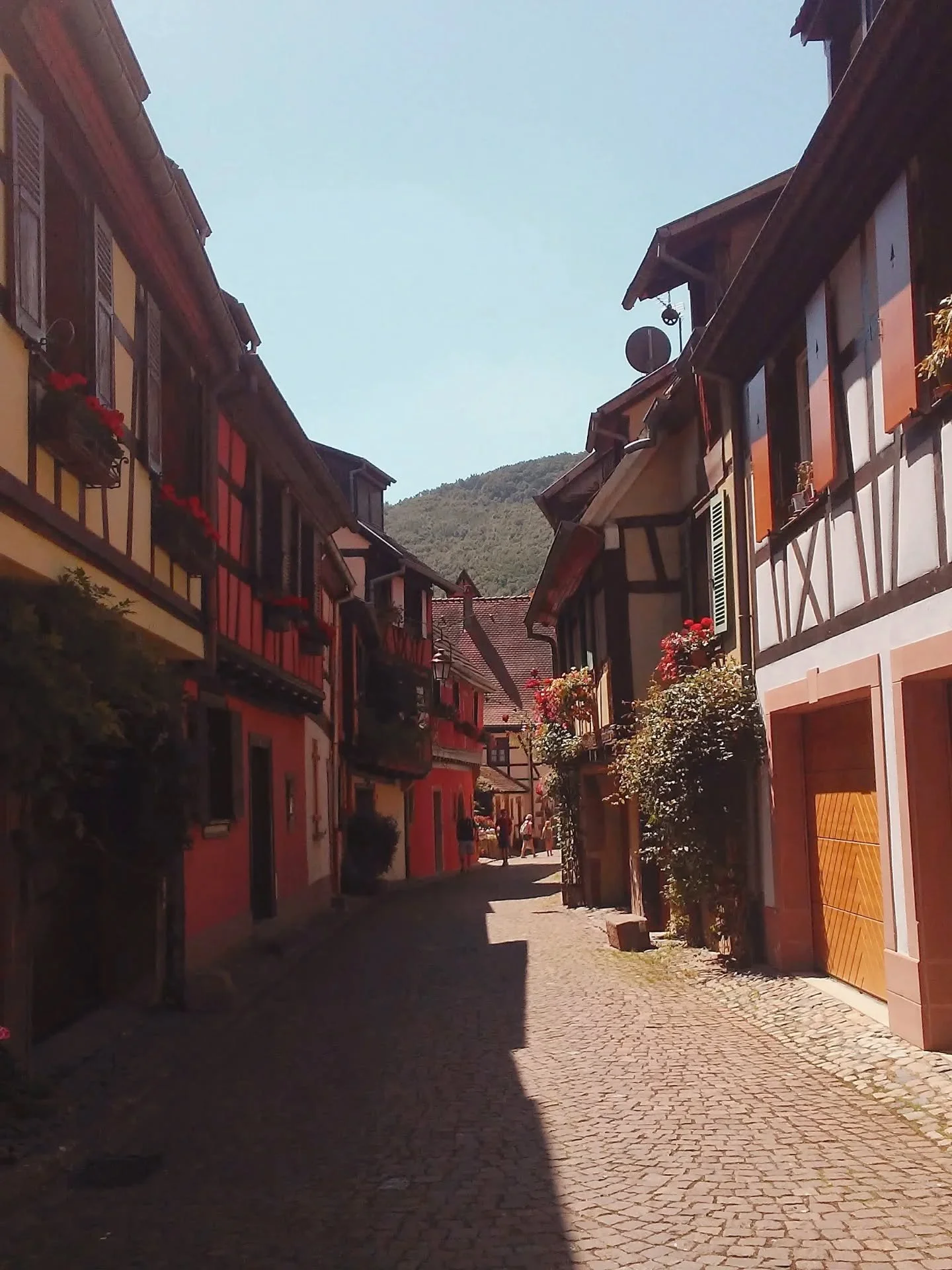 Nearly a decade ago, a seed of a story was planted in this alley in Colmar, about a girl and a wolf and a curse. I couldn't write it then - I was in and out of the hospital and pushing through grad school. 

Five years ago, I helped it take root. It'