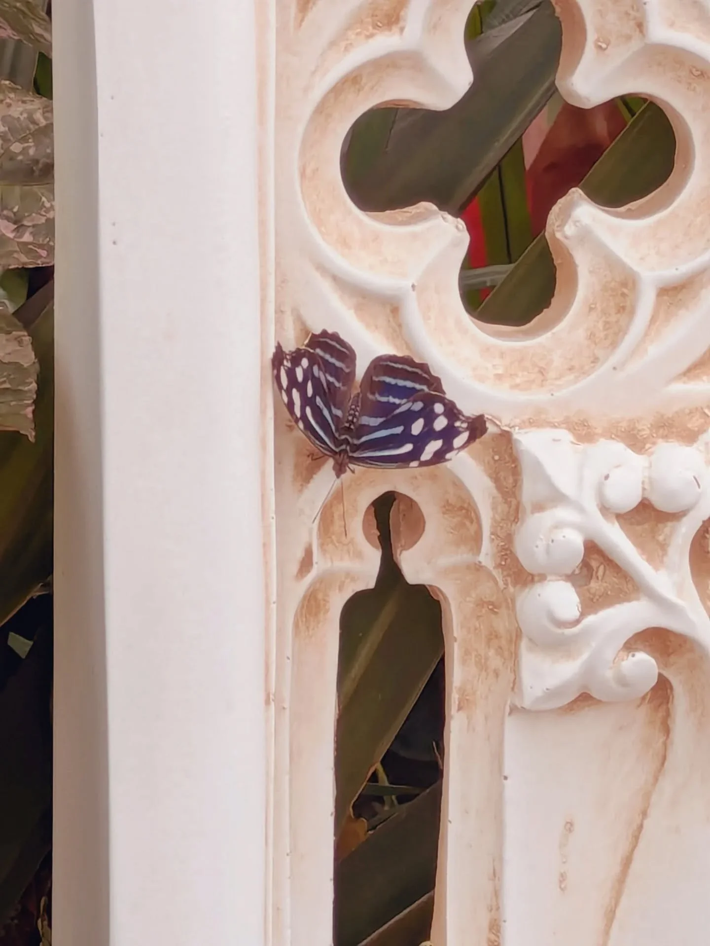 Taking a little social media break! I have just about a month left of summer break, and I have a whole book I want to finish drafting by then. I'm uninstalling my apps, so text or email me if you need me!!

#amwriting